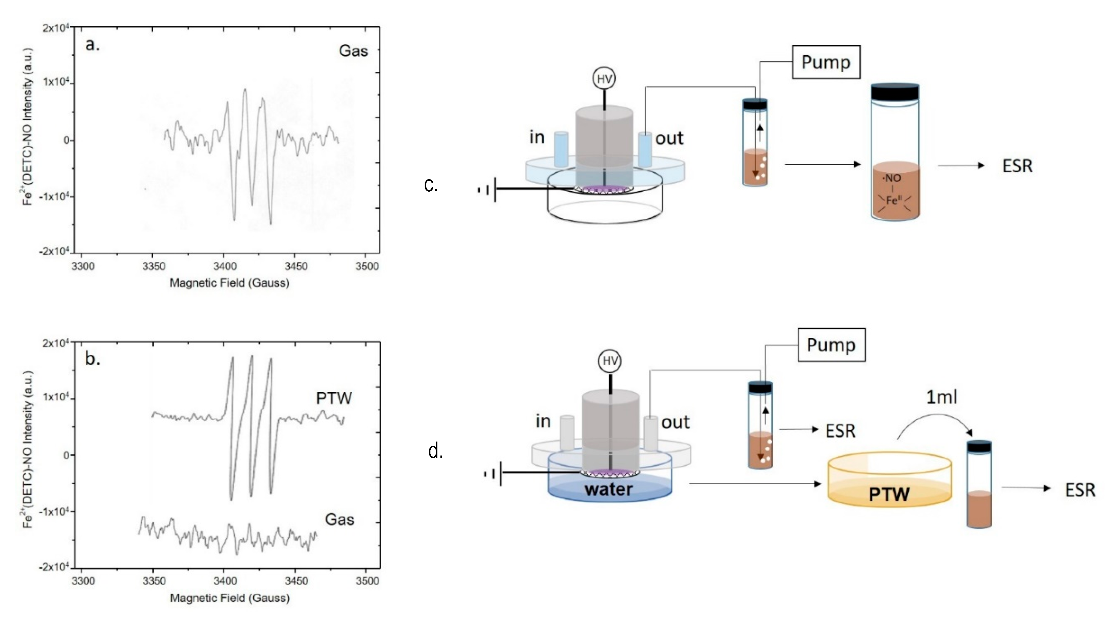 Antioxidants 10 00605 g003