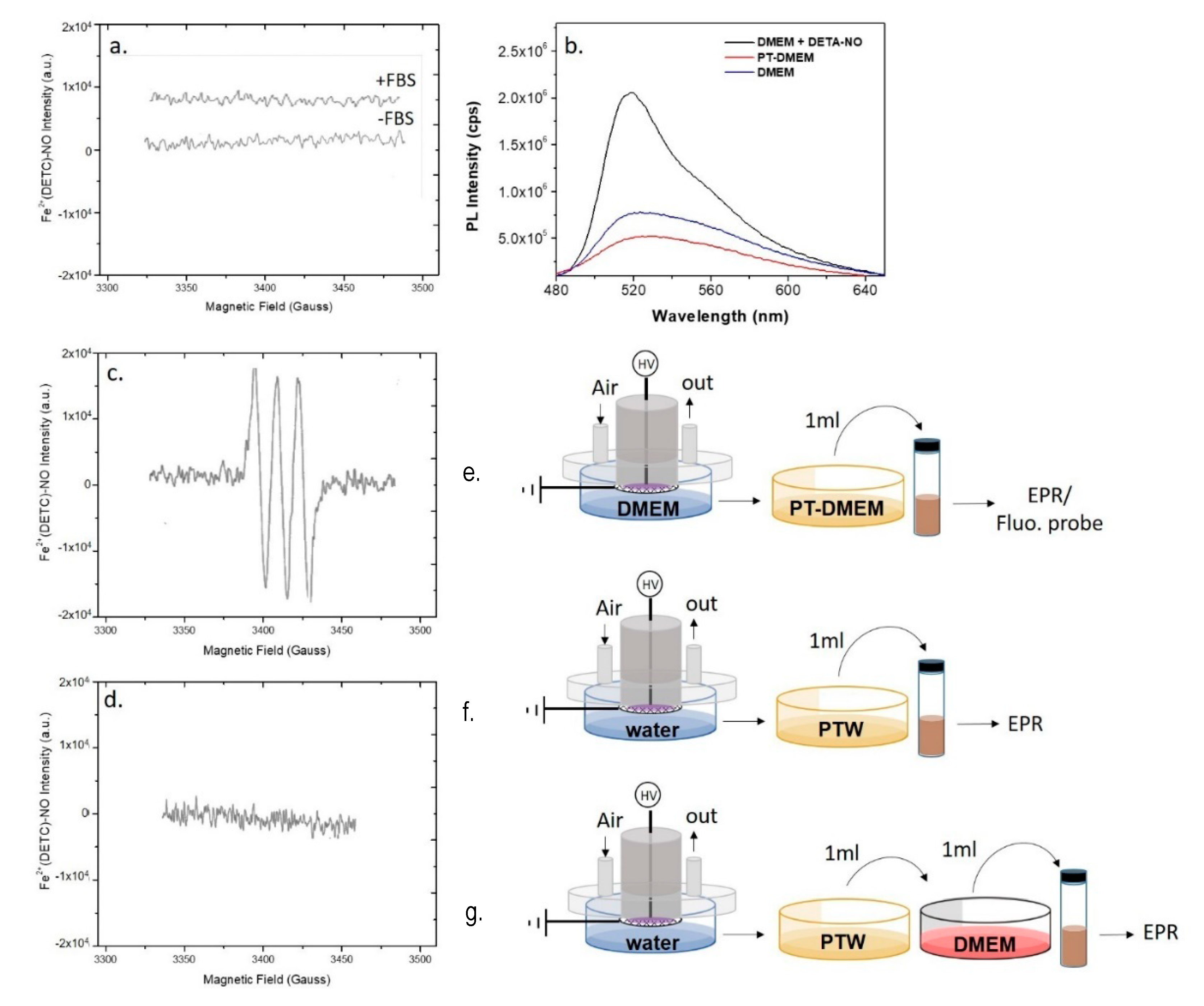 Antioxidants 10 00605 g004
