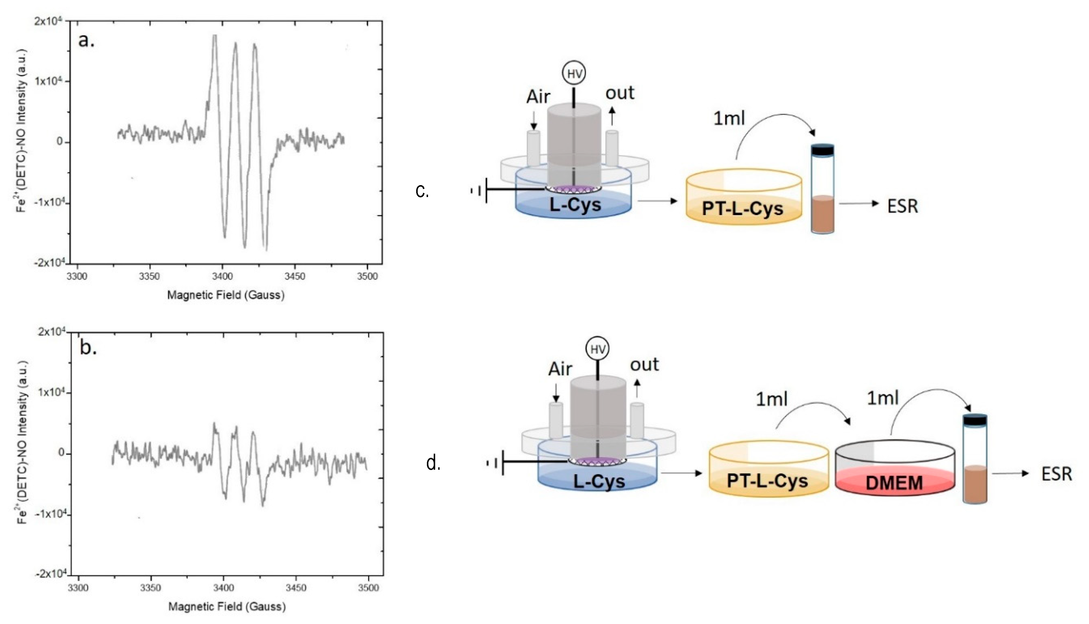 Antioxidants 10 00605 g005