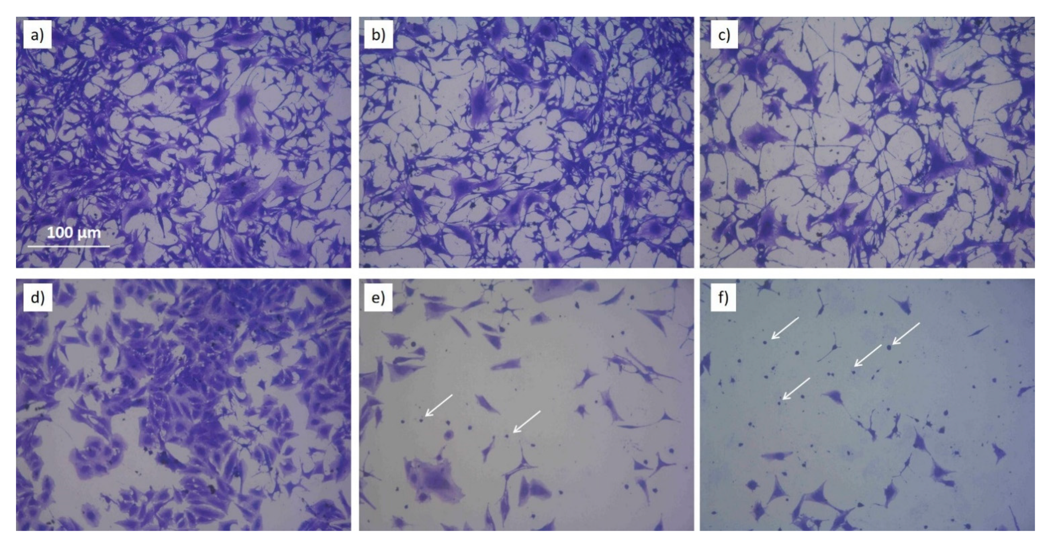 Antioxidants 10 00605 g009
