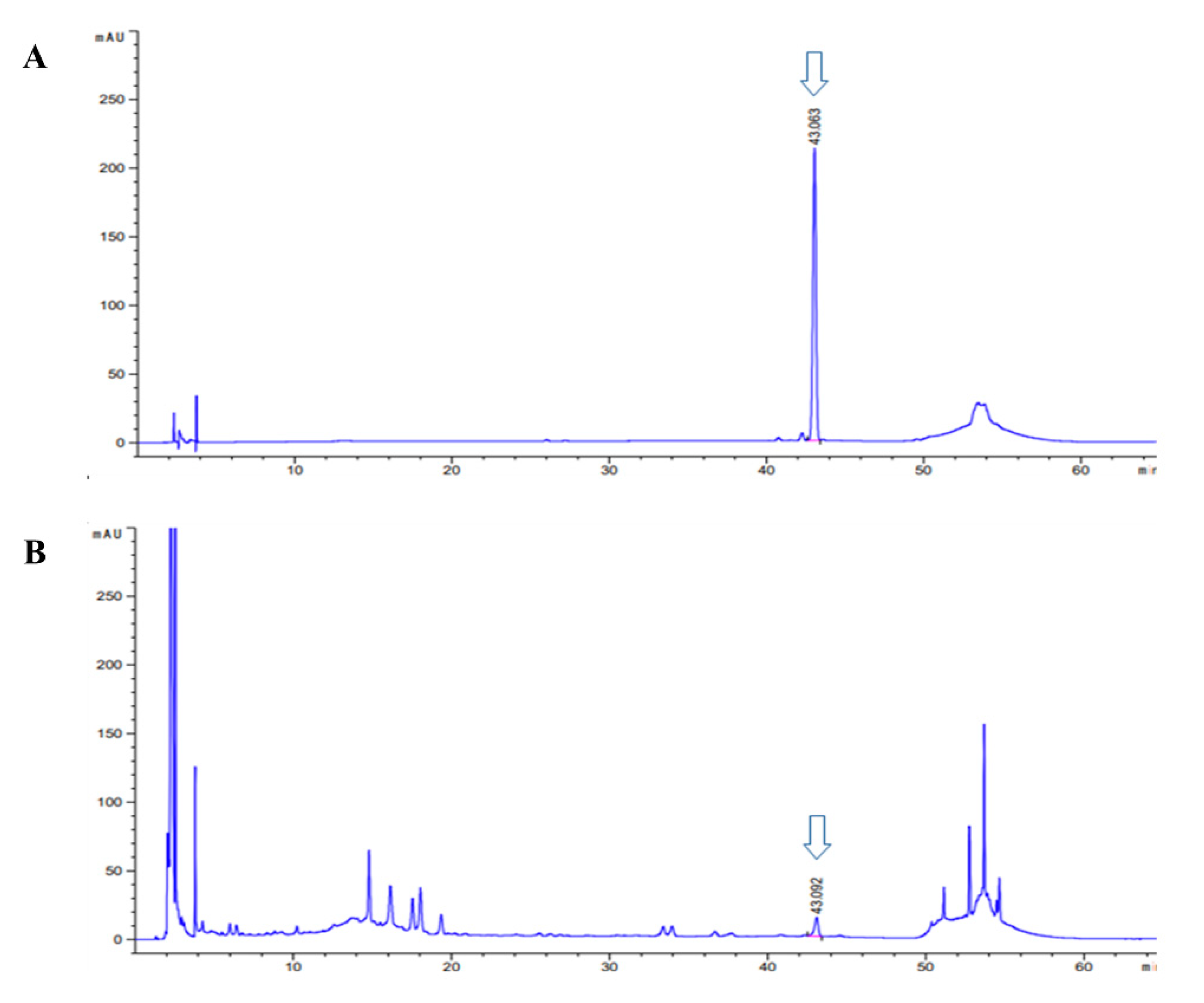 Antioxidants 10 00613 g005