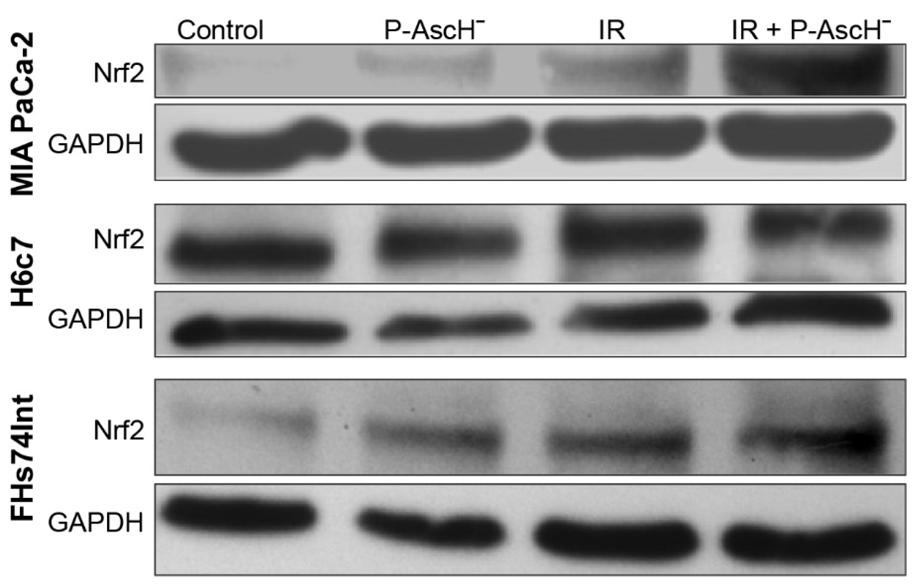 Antioxidants 10 00614 g001
