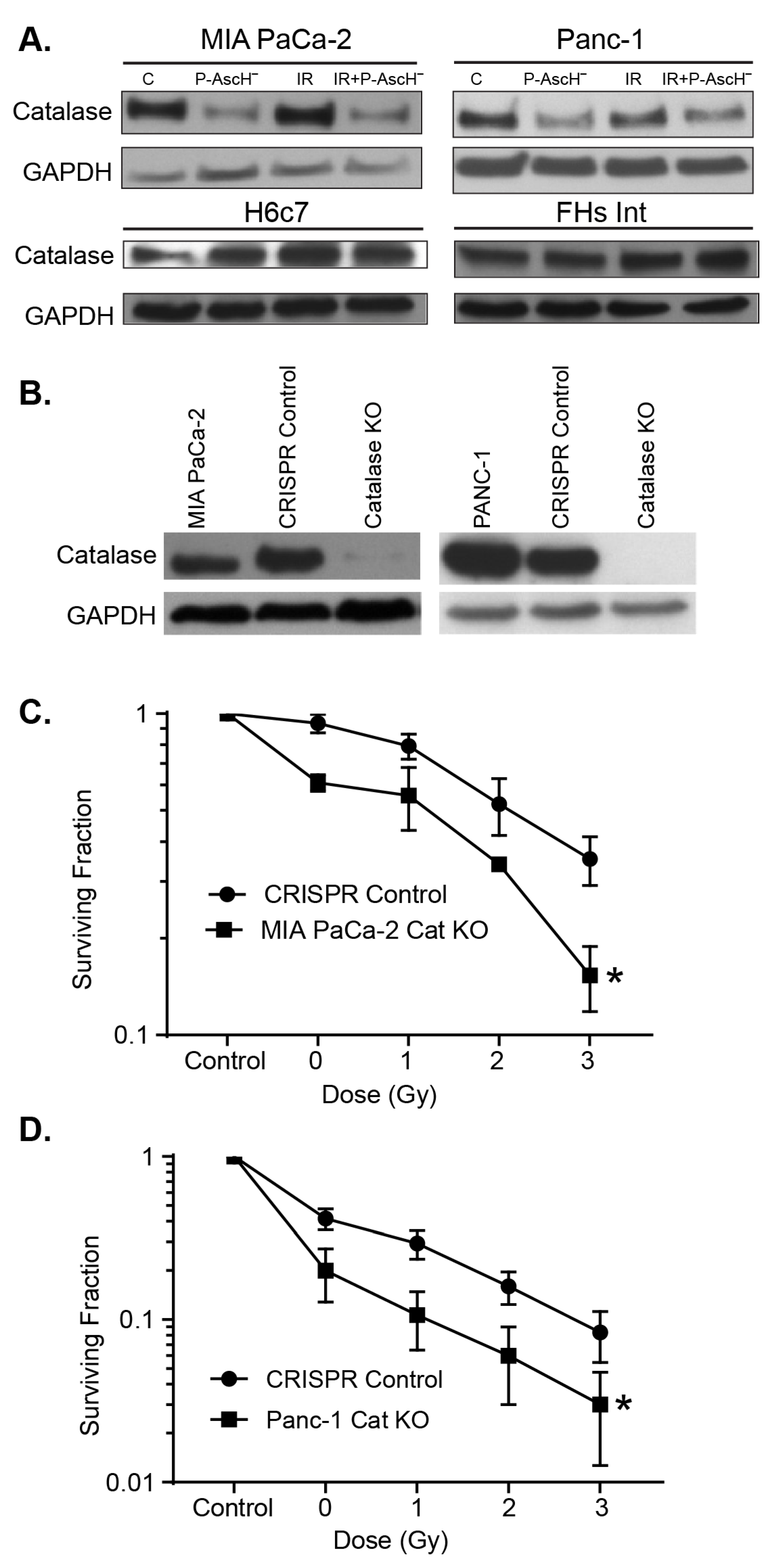 Antioxidants 10 00614 g004