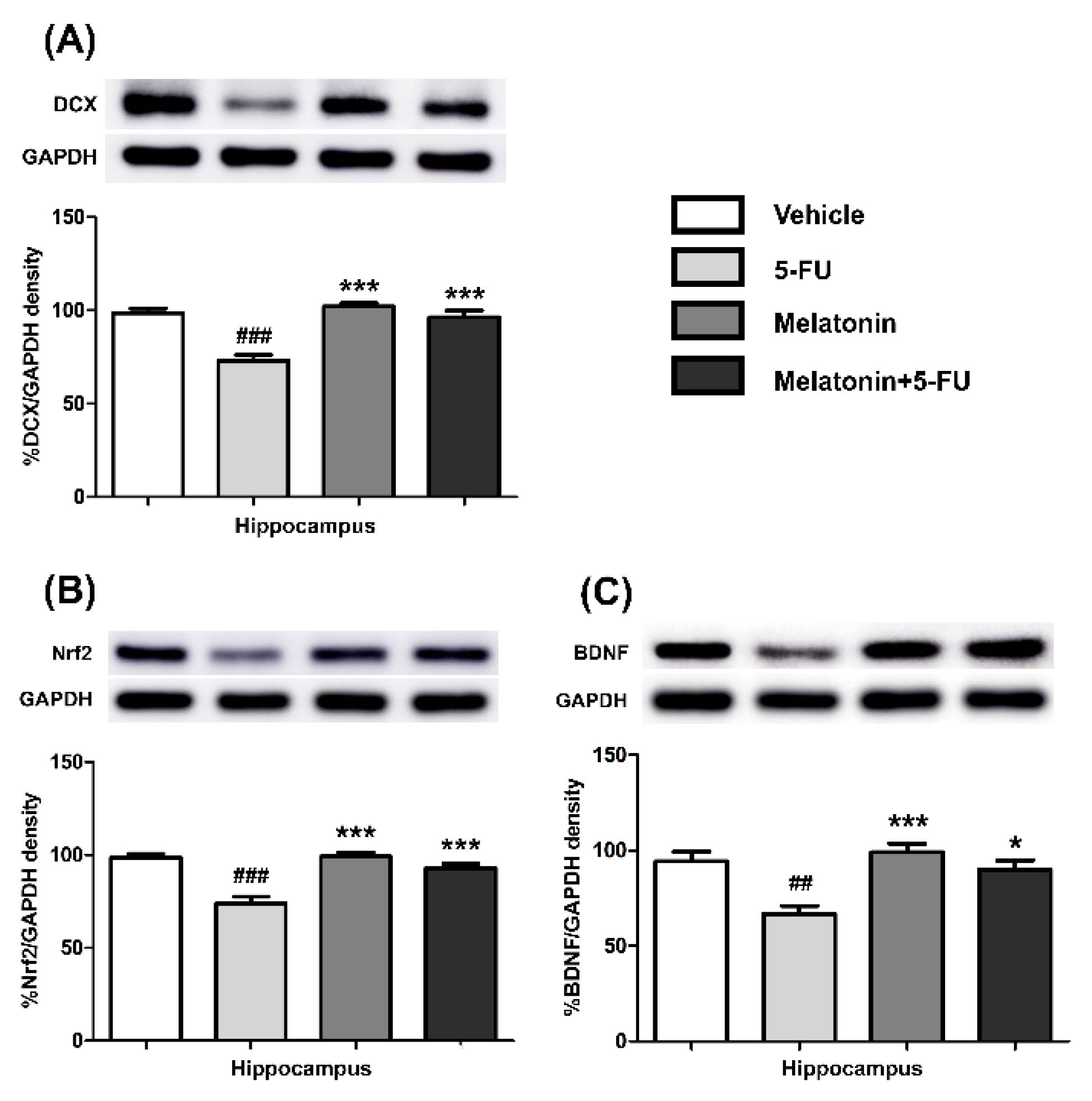 Antioxidants 10 00615 g005 Antioxidants 10 00615 g005