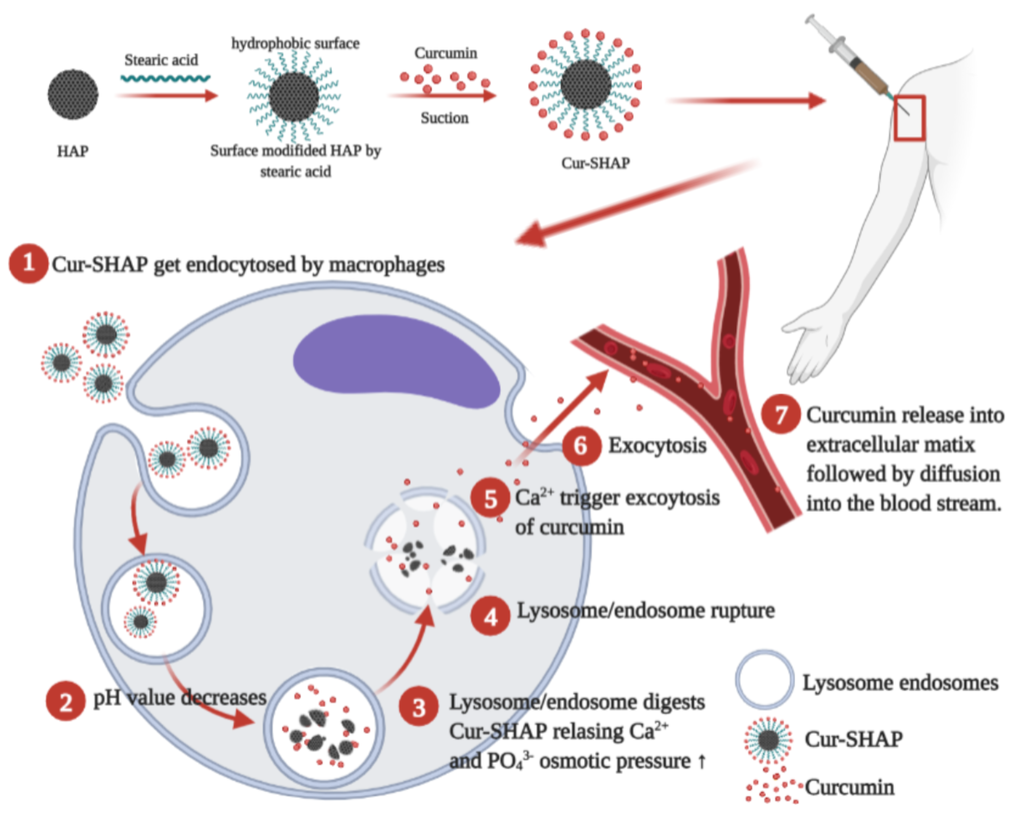 Antioxidants 10 00616 g001