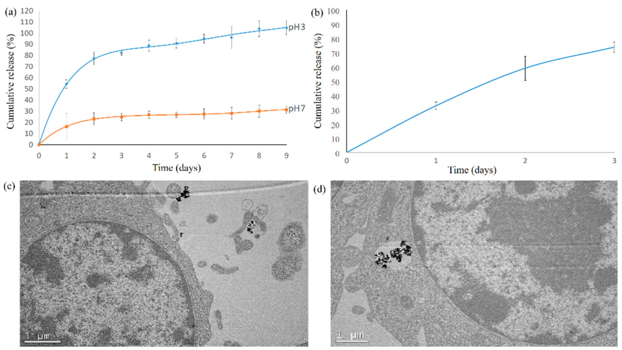 Antioxidants 10 00616 g005