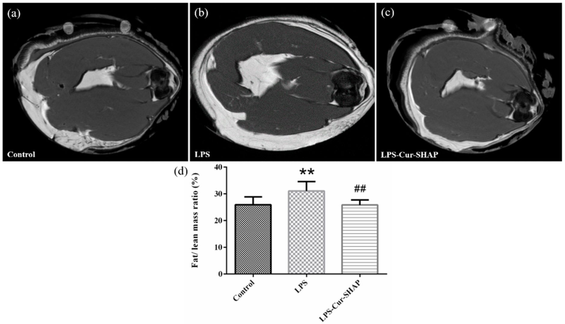 Antioxidants 10 00616 g010