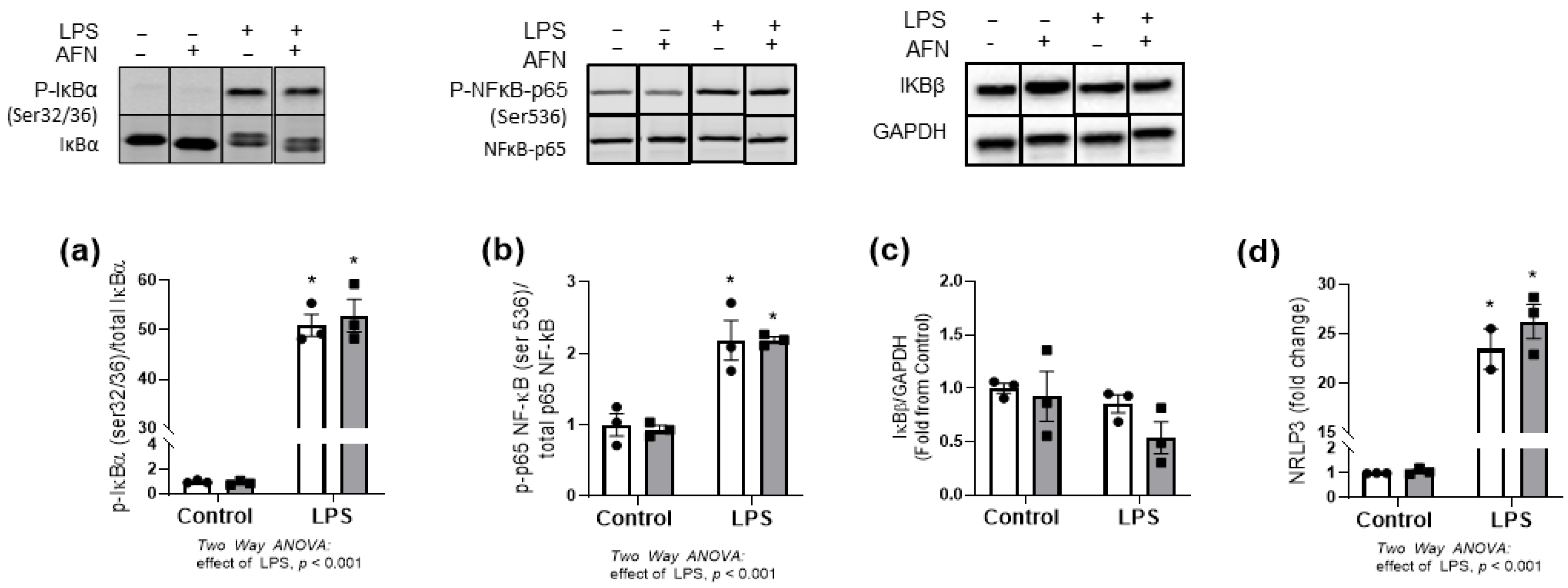 Antioxidants 10 00632 g003