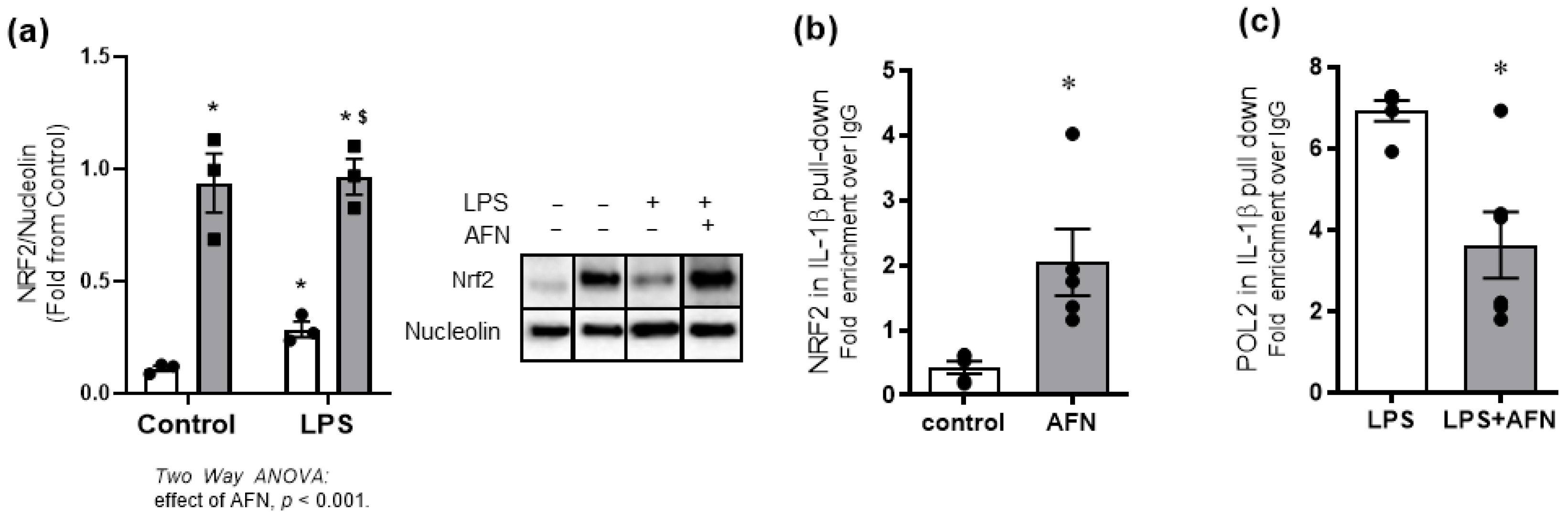 Antioxidants 10 00632 g006