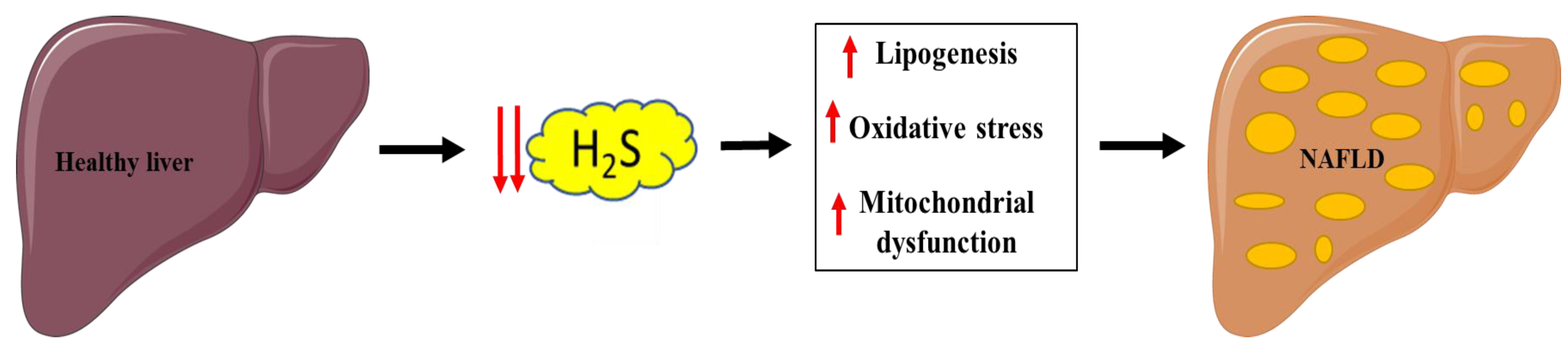 Antioxidants 10 00633 g004