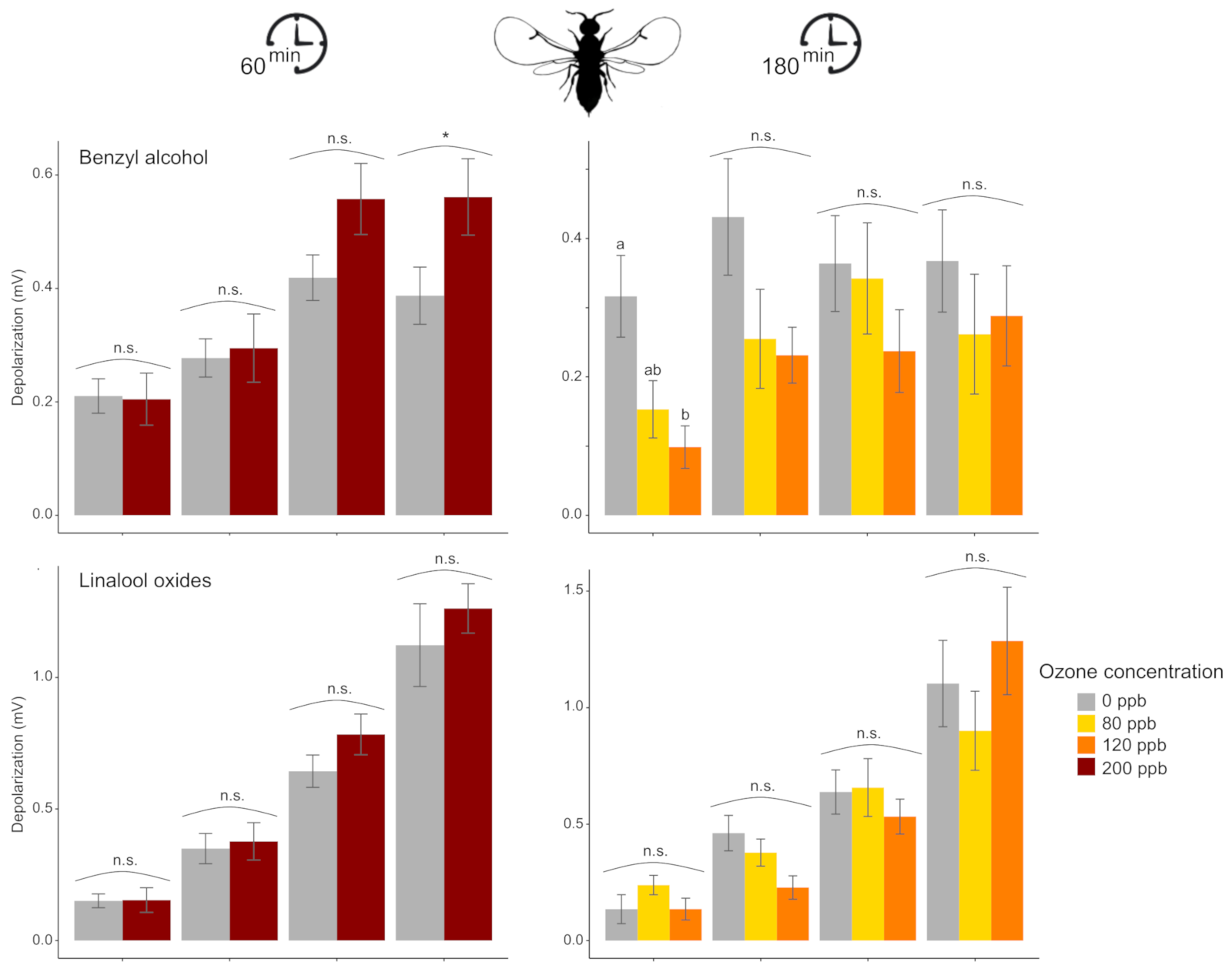 Antioxidants 10 00636 g001a