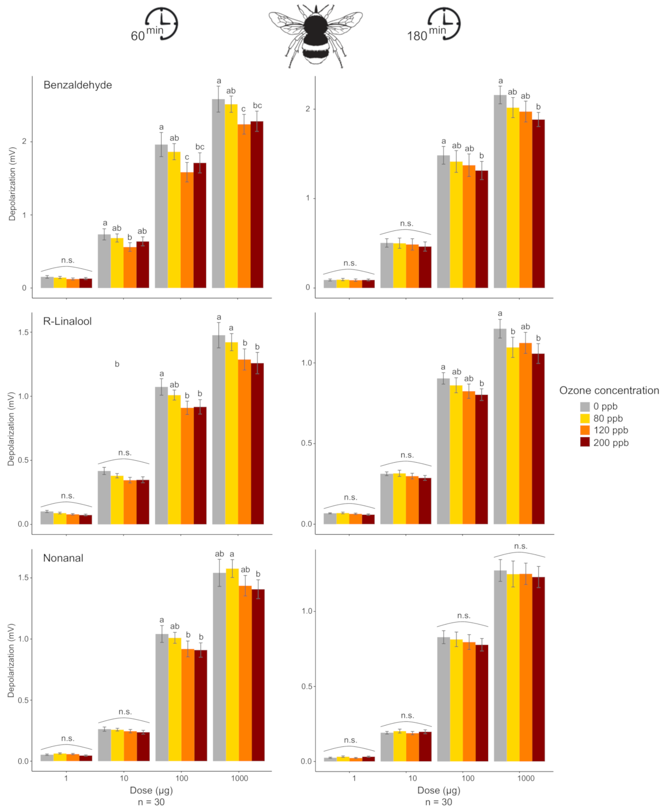 Antioxidants 10 00636 g002