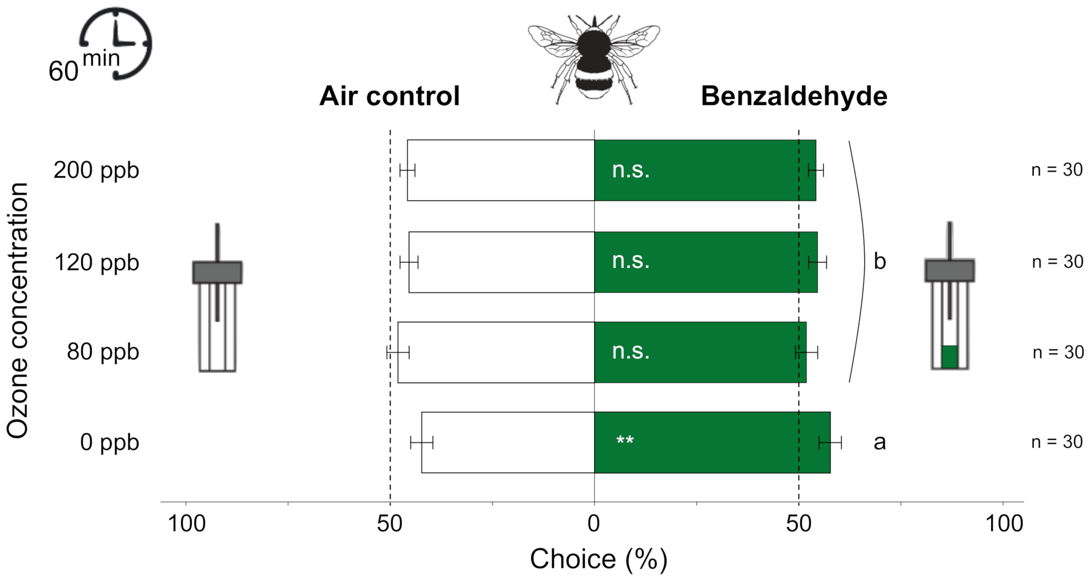 Antioxidants 10 00636 g004