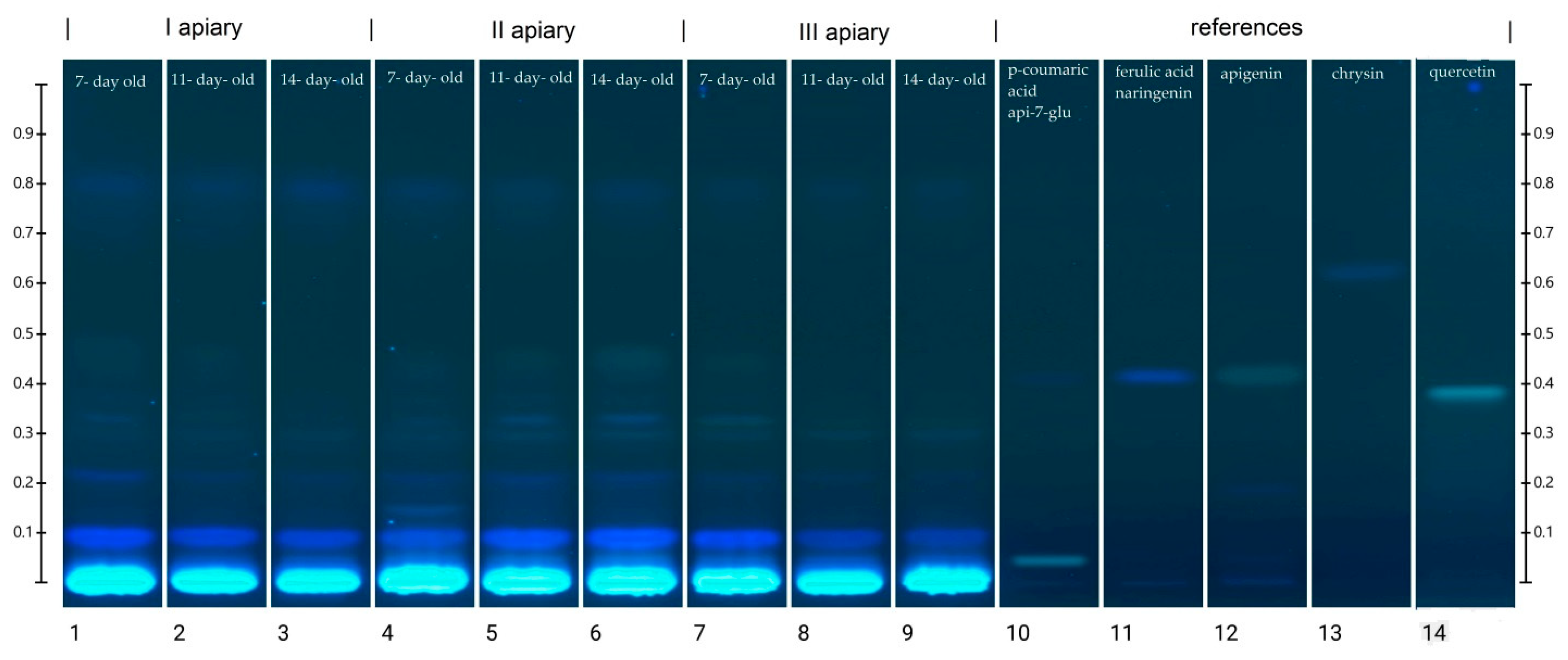 Antioxidants 10 00639 g004