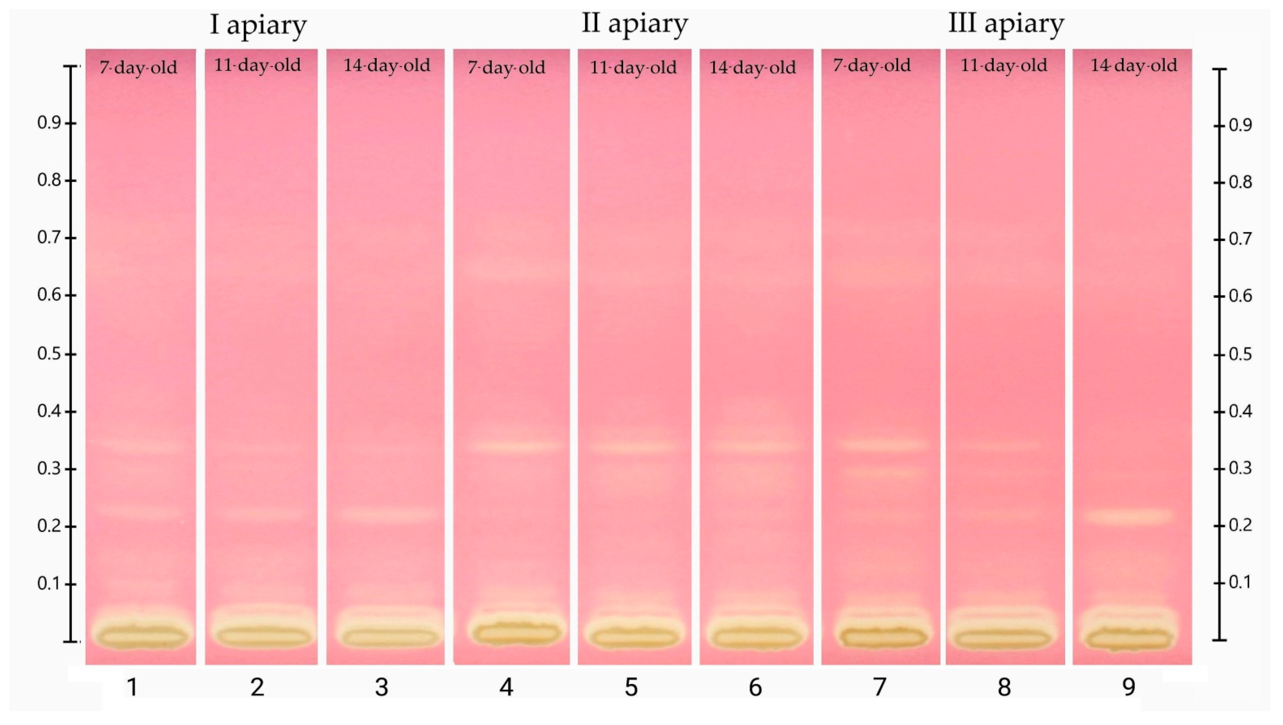 Antioxidants 10 00639 g005