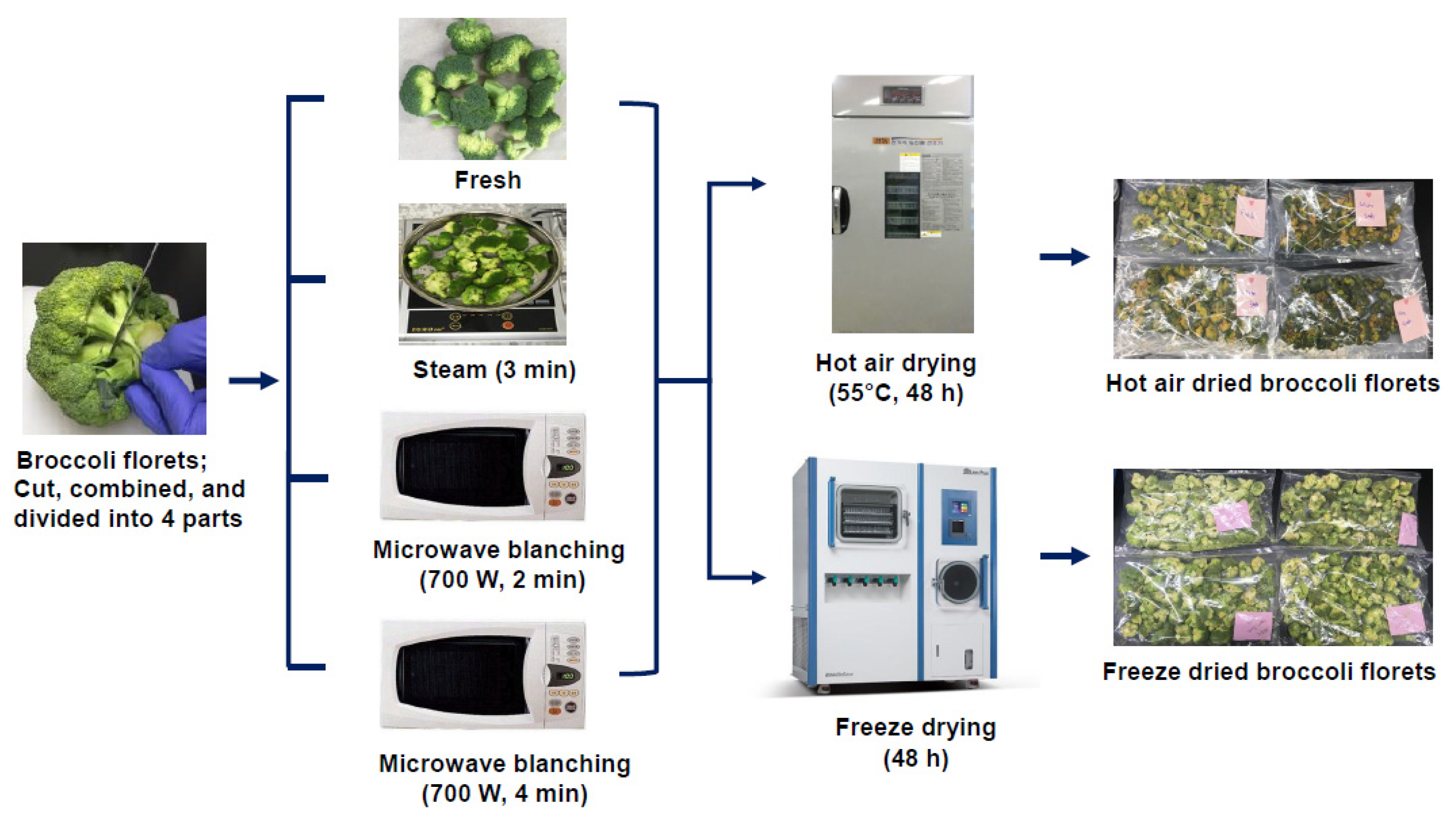 Antioxidants 10 00641 g001