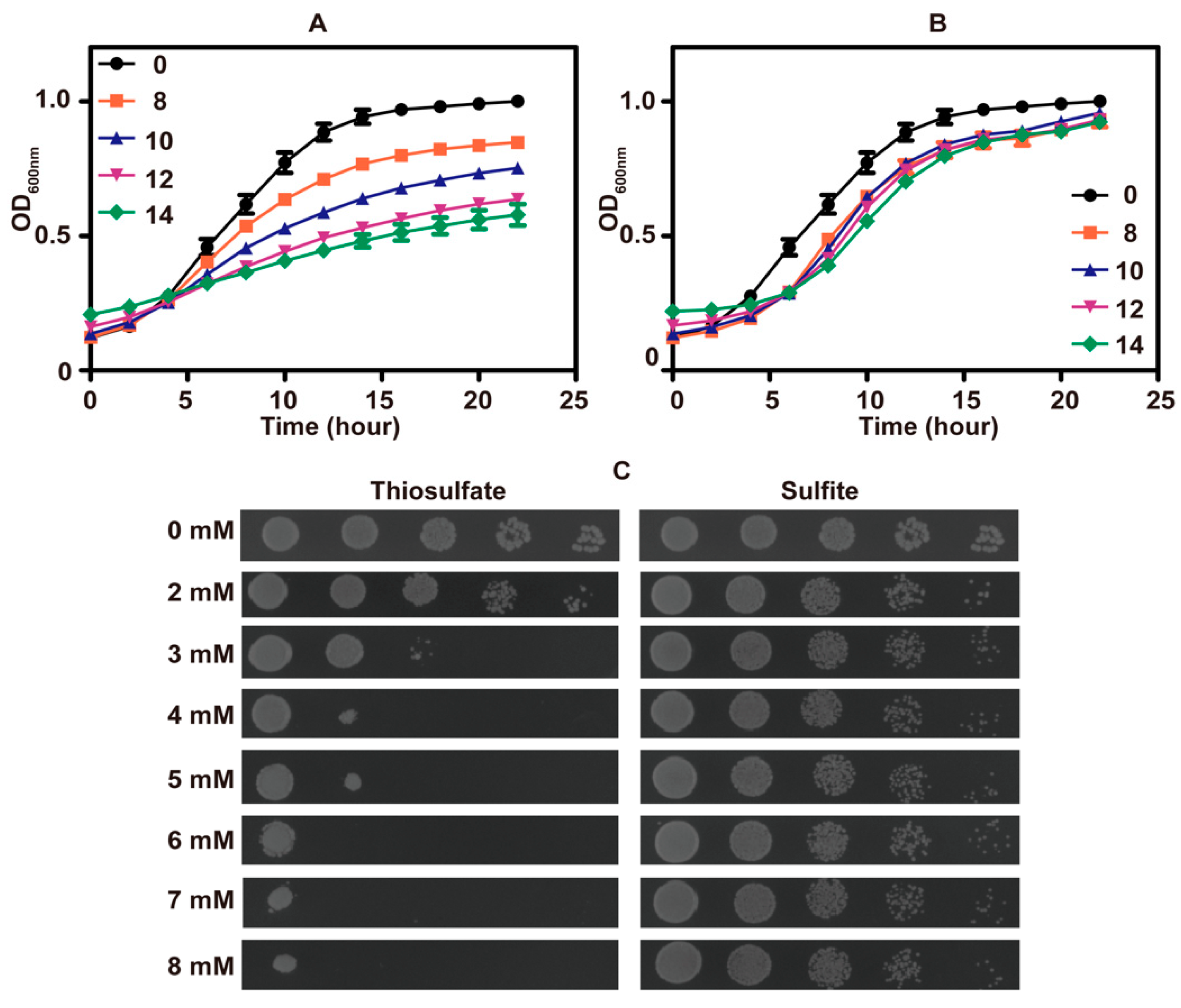 Antioxidants 10 00646 g001