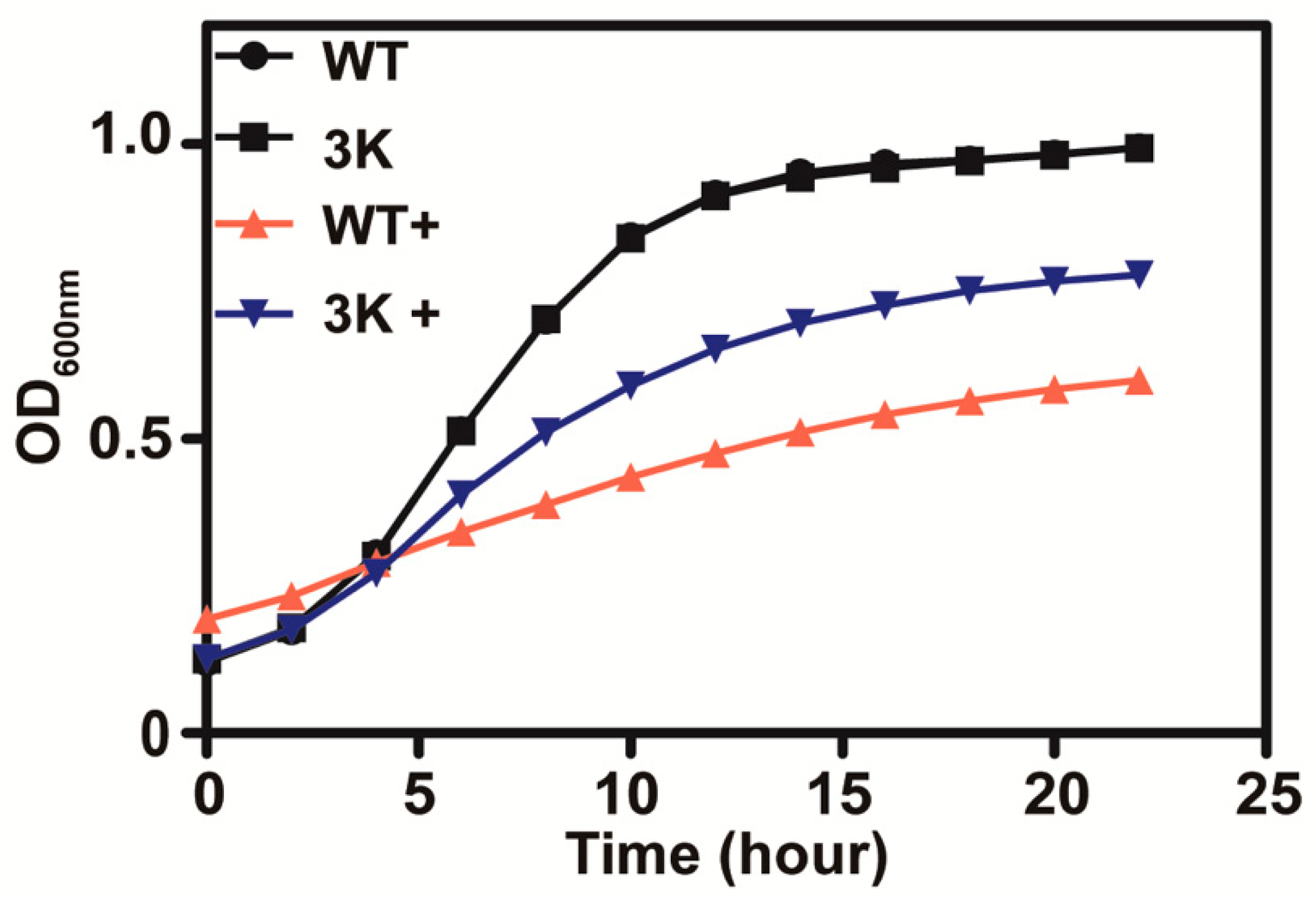 Antioxidants 10 00646 g003