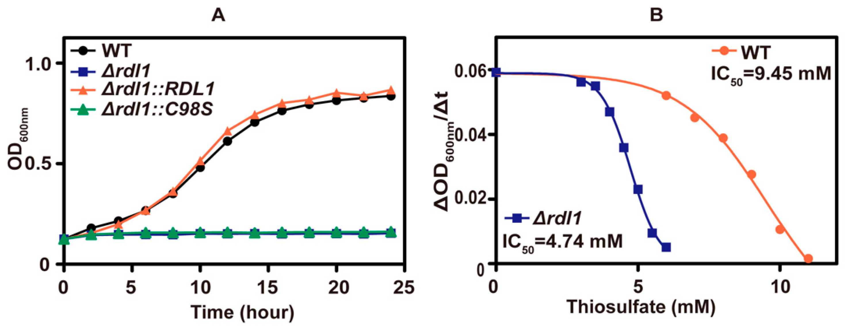 Antioxidants 10 00646 g004