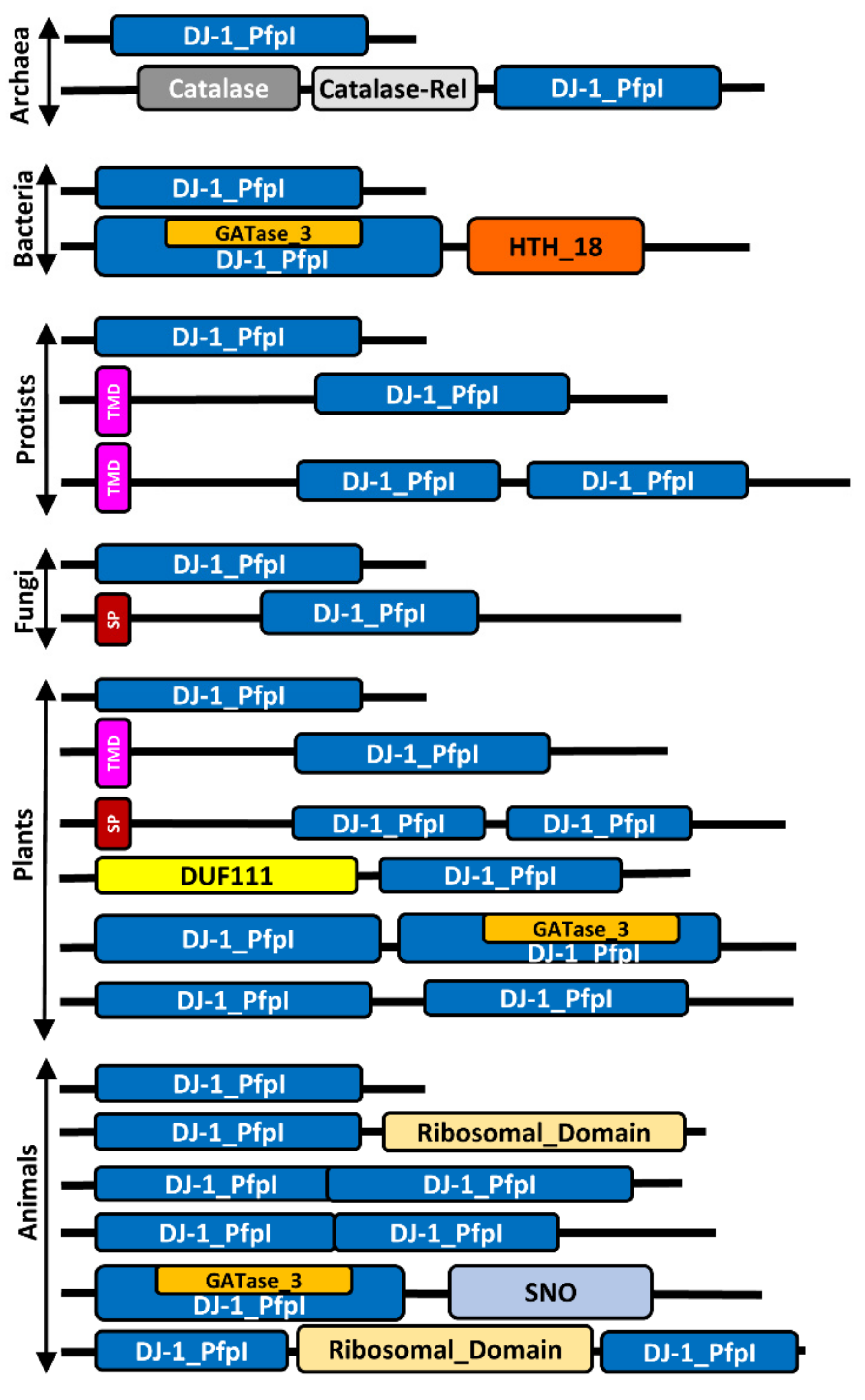 Antioxidants 10 00648 g002 Antioxidants 10 00648 g002