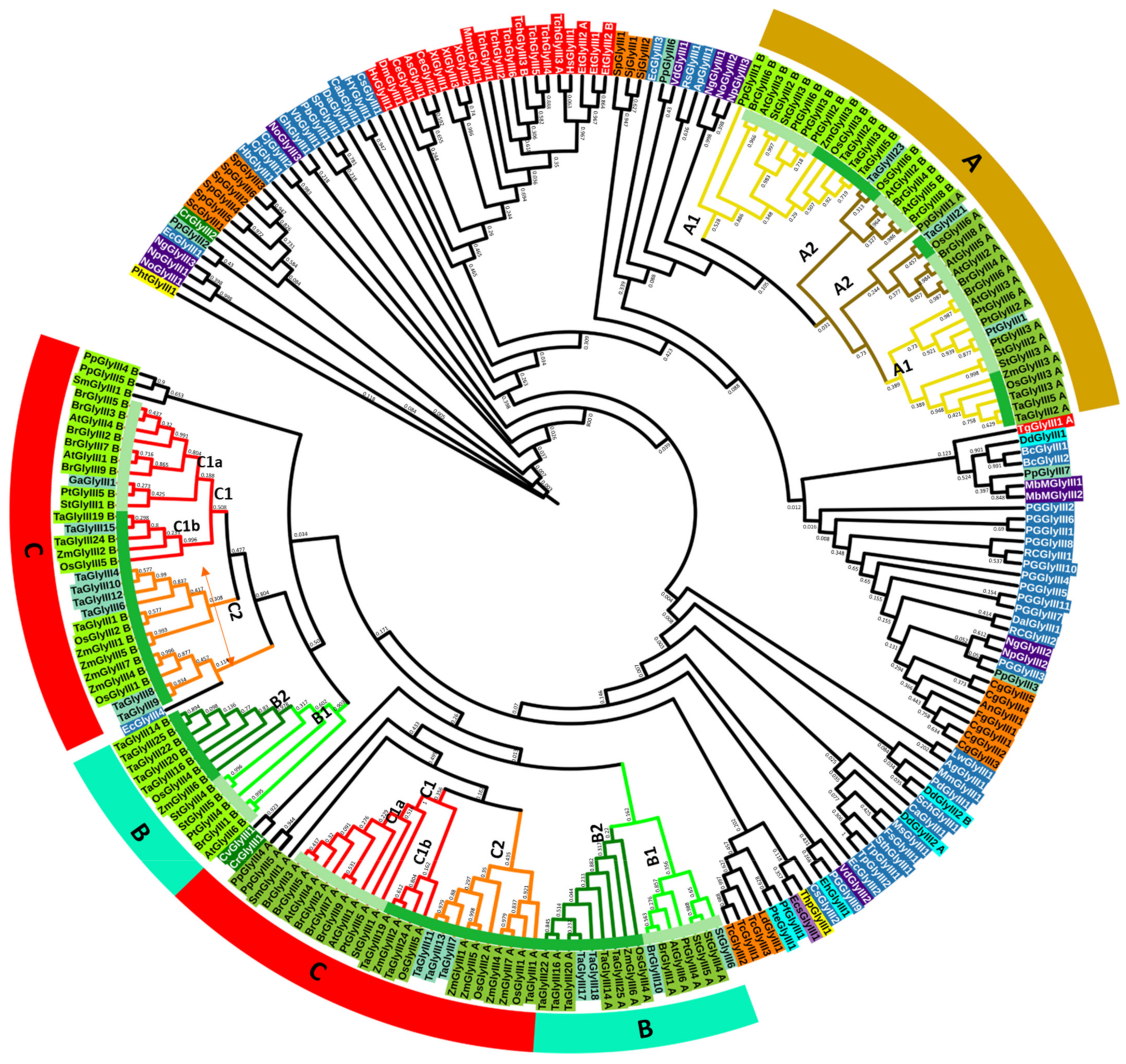 Antioxidants 10 00648 g004 Antioxidants 10 00648 g004