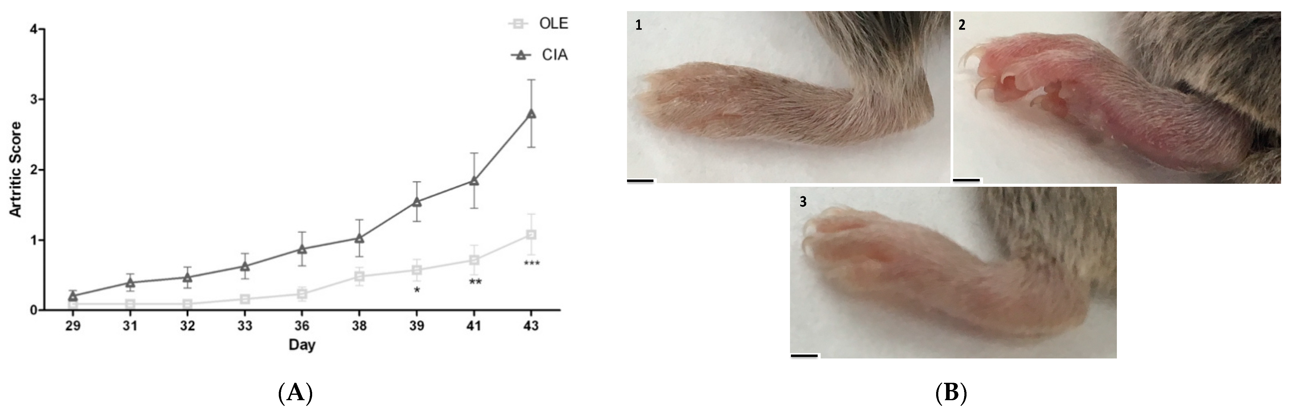 Antioxidants 10 00650 g001