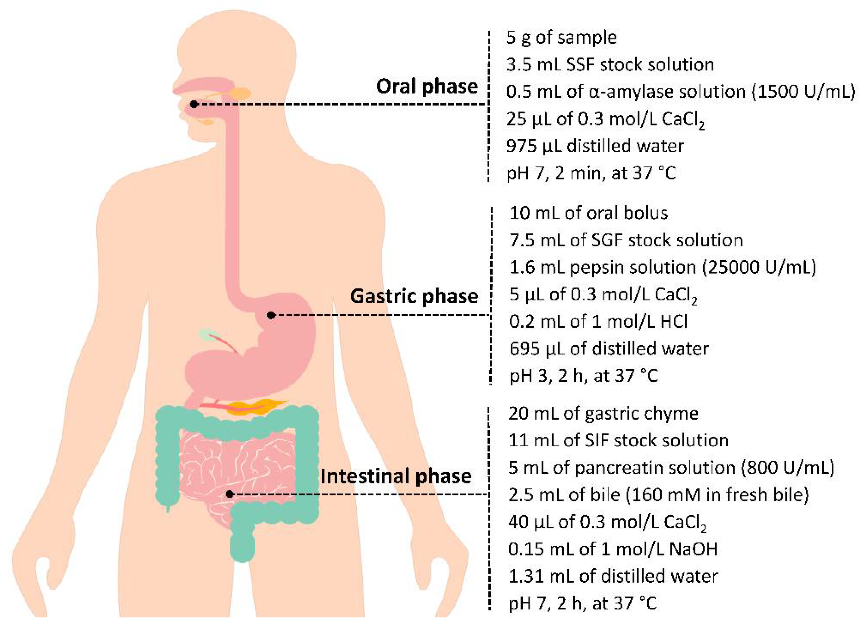 Antioxidants 10 00651 g001