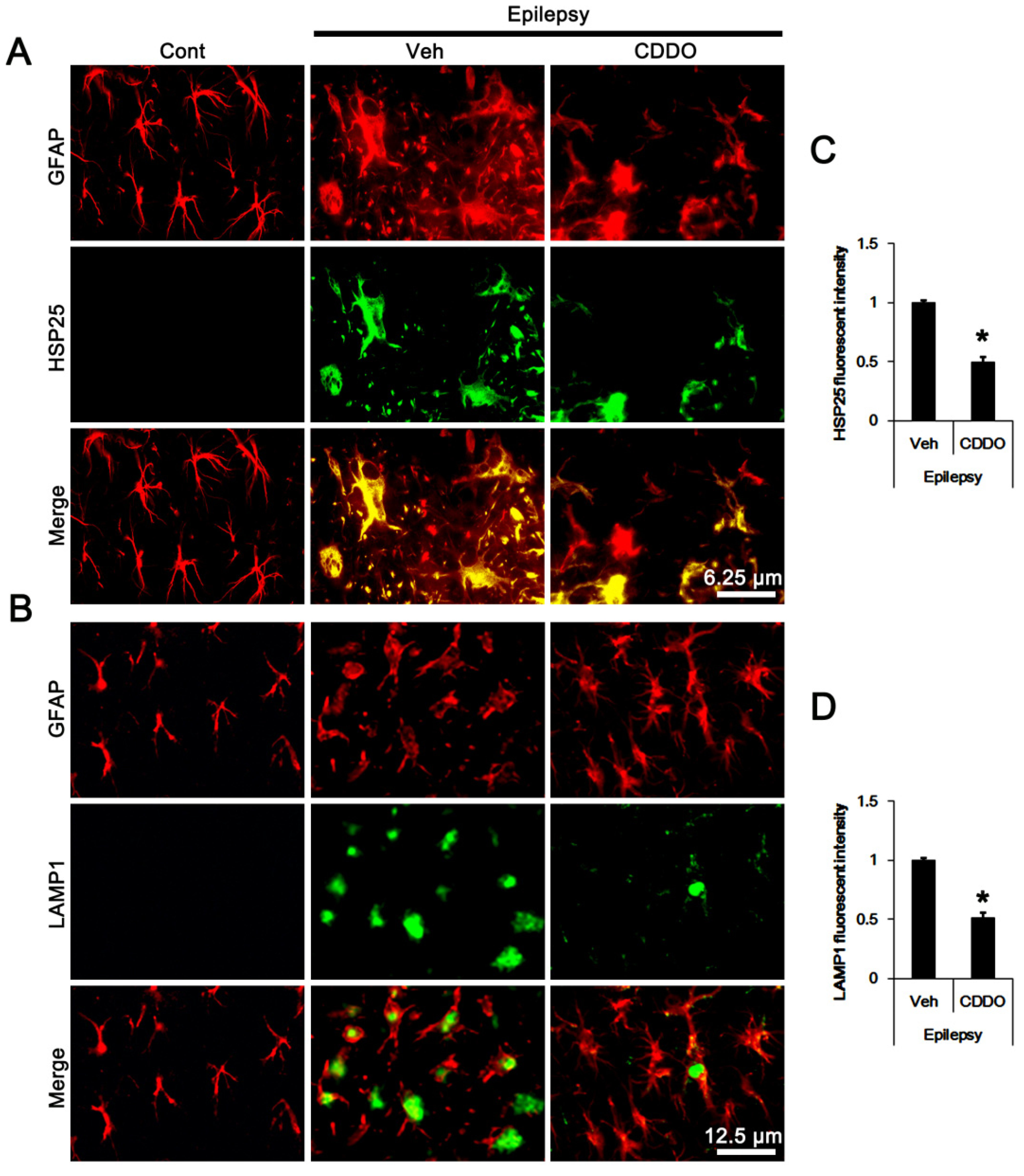 Antioxidants 10 00655 g002