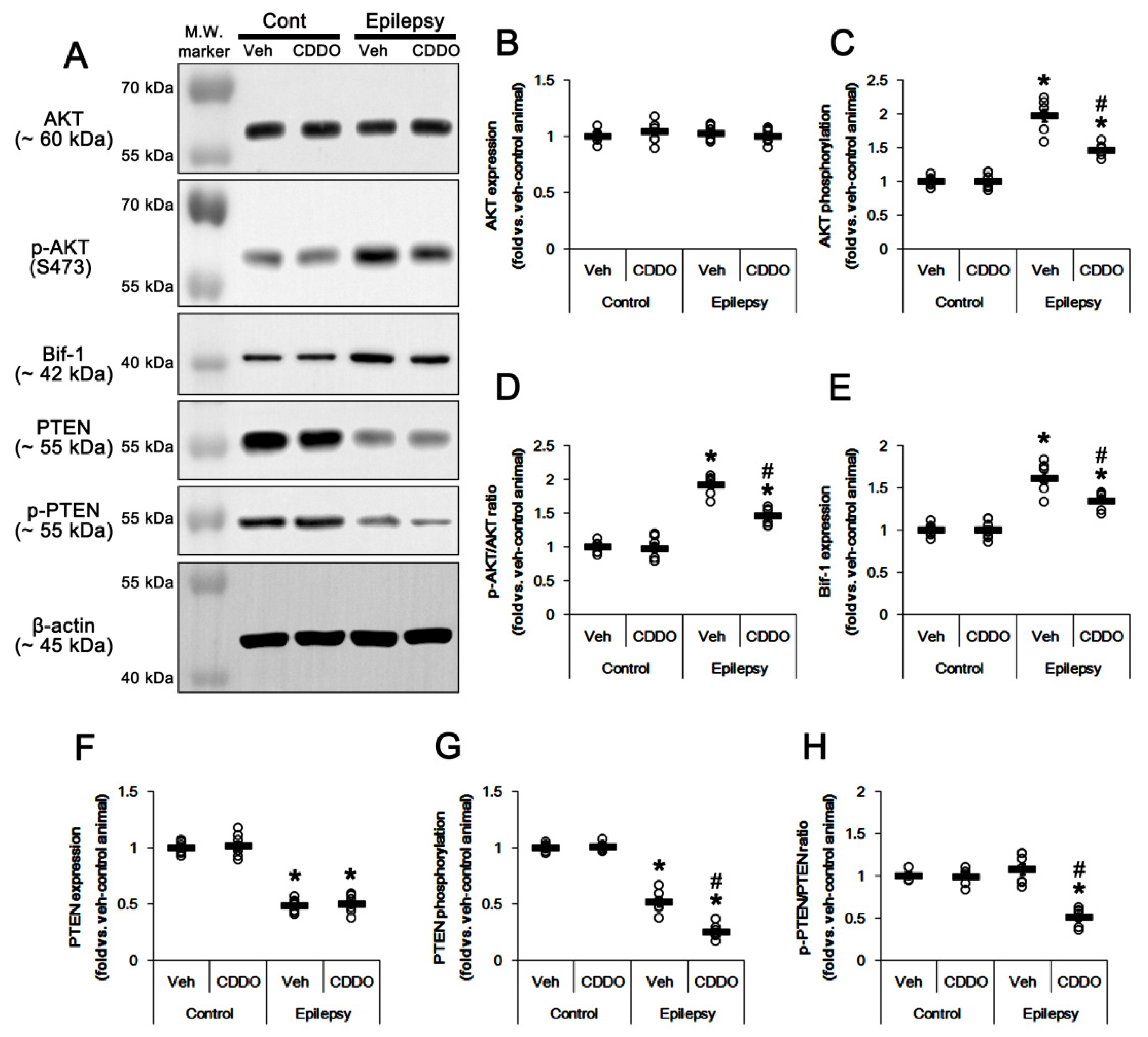 Antioxidants 10 00655 g004