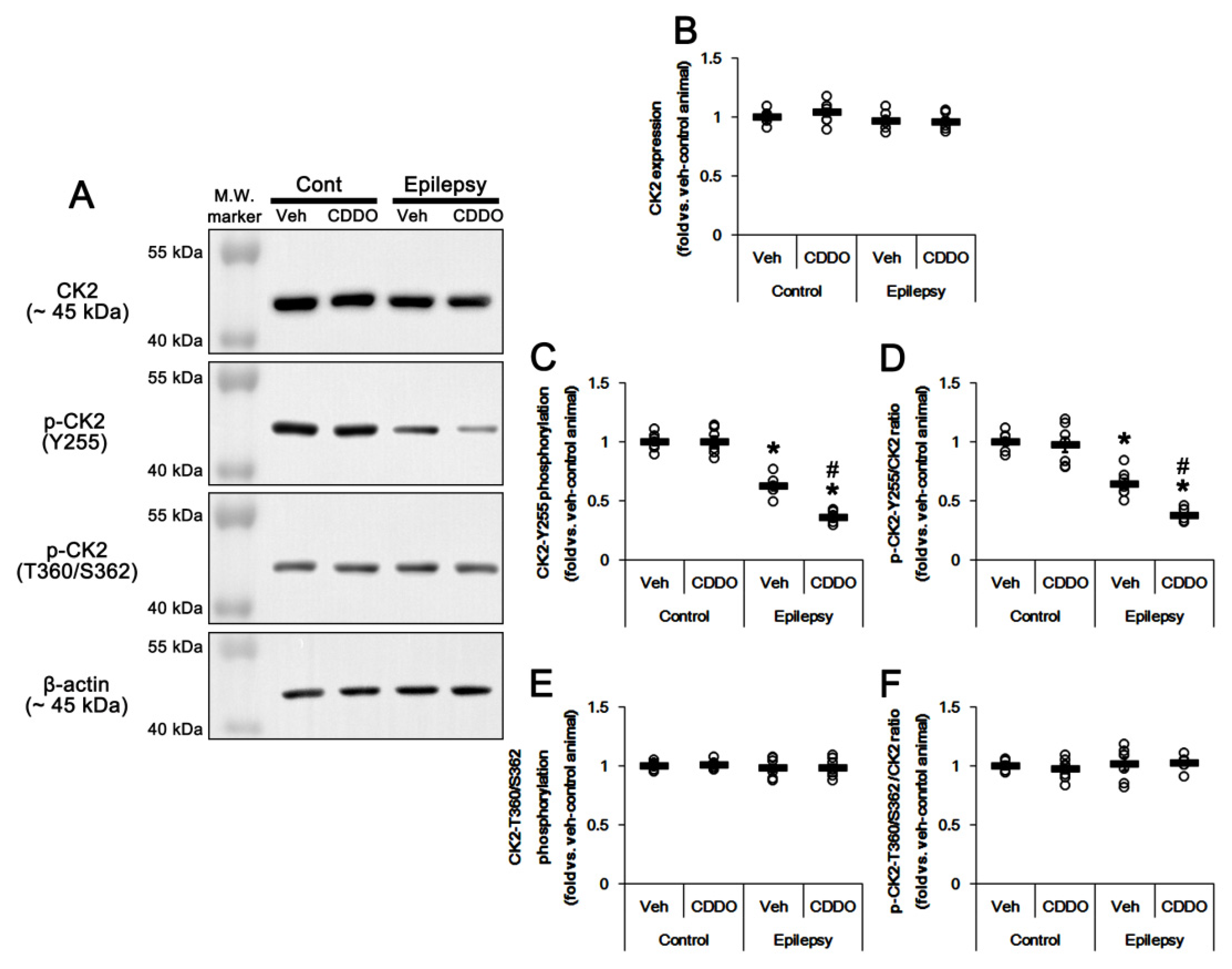 Antioxidants 10 00655 g005
