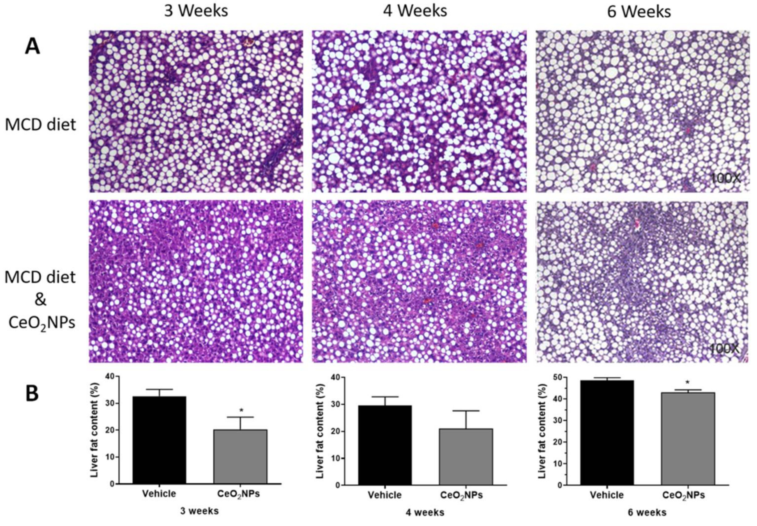 Antioxidants 10 00660 g002 Antioxidants 10 00660 g002