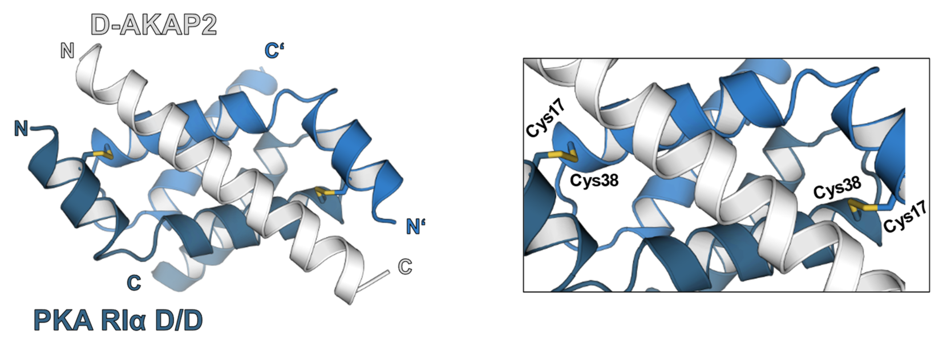 Antioxidants 10 00663 g002