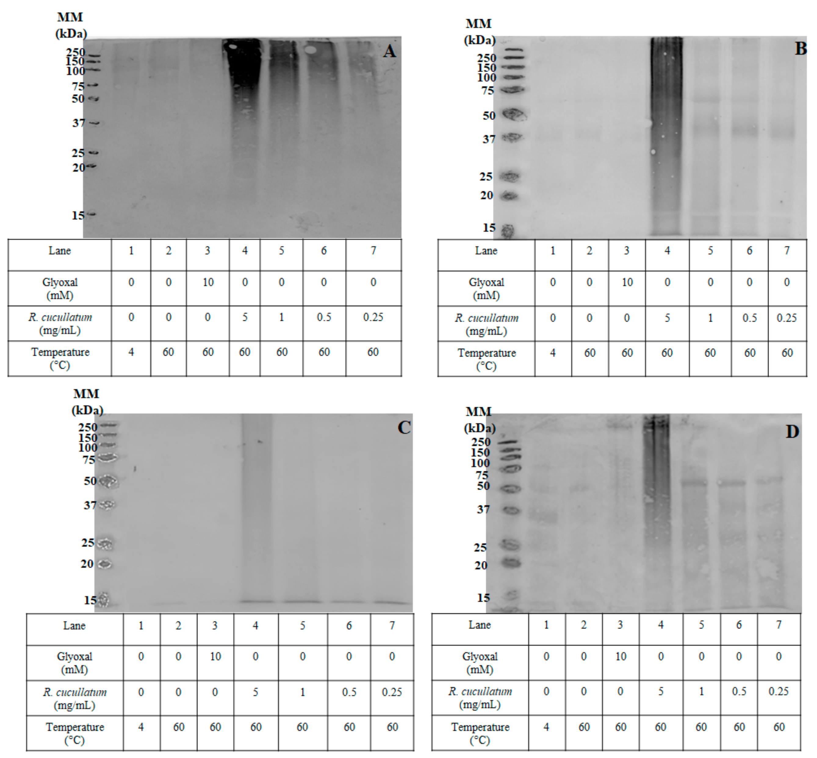 Antioxidants 10 00665 g006