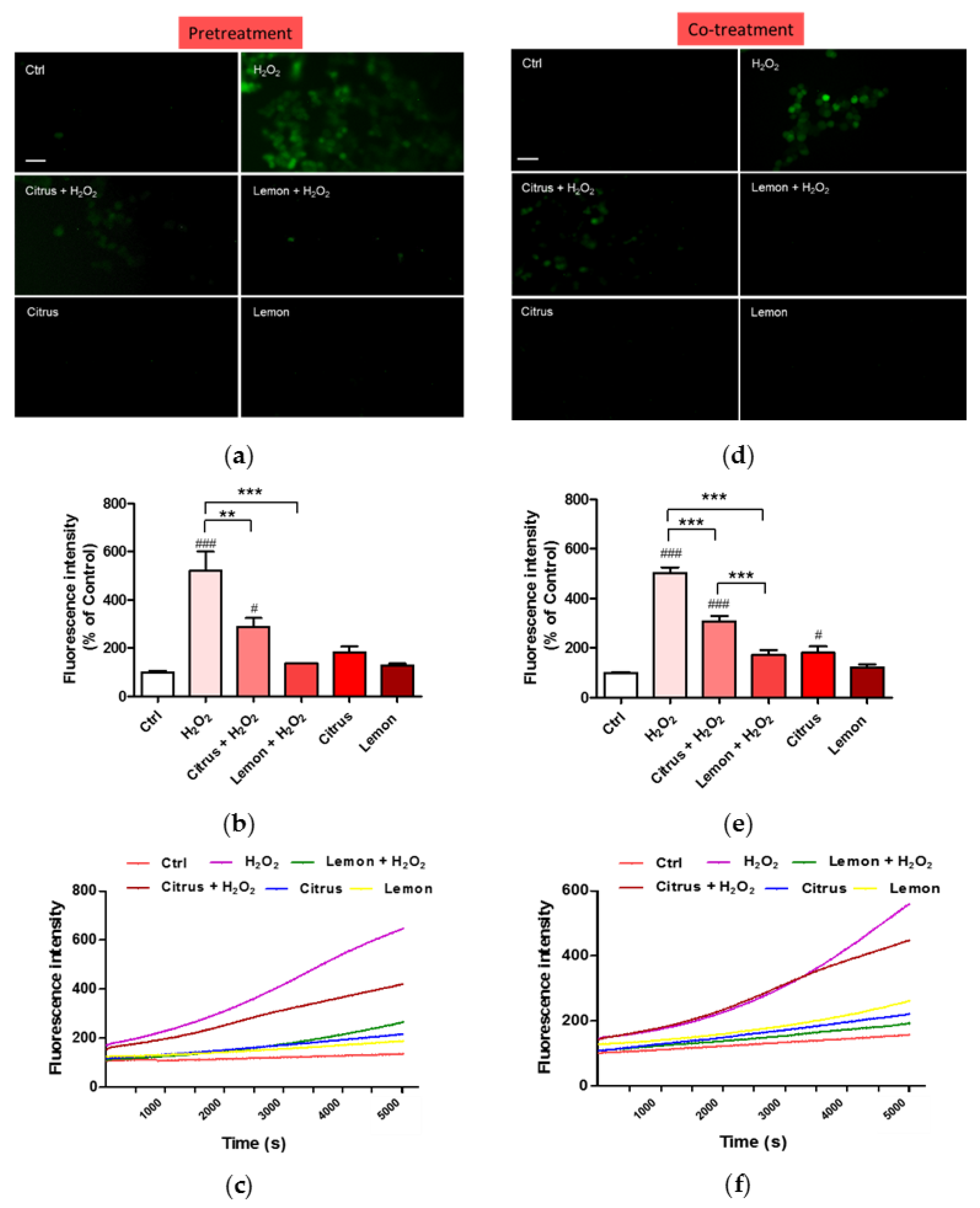 Antioxidants 10 00669 g004