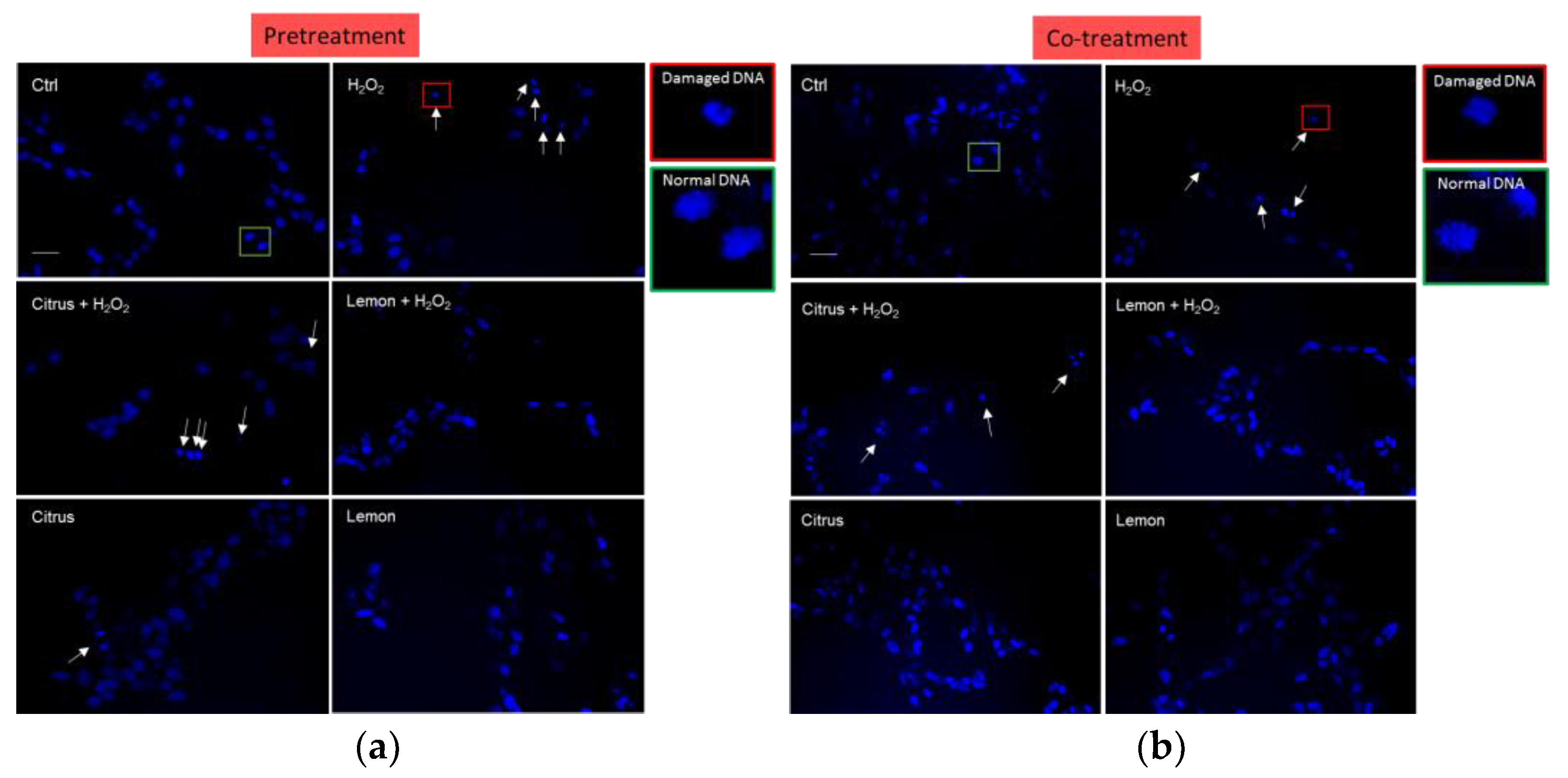 Antioxidants 10 00669 g0a1