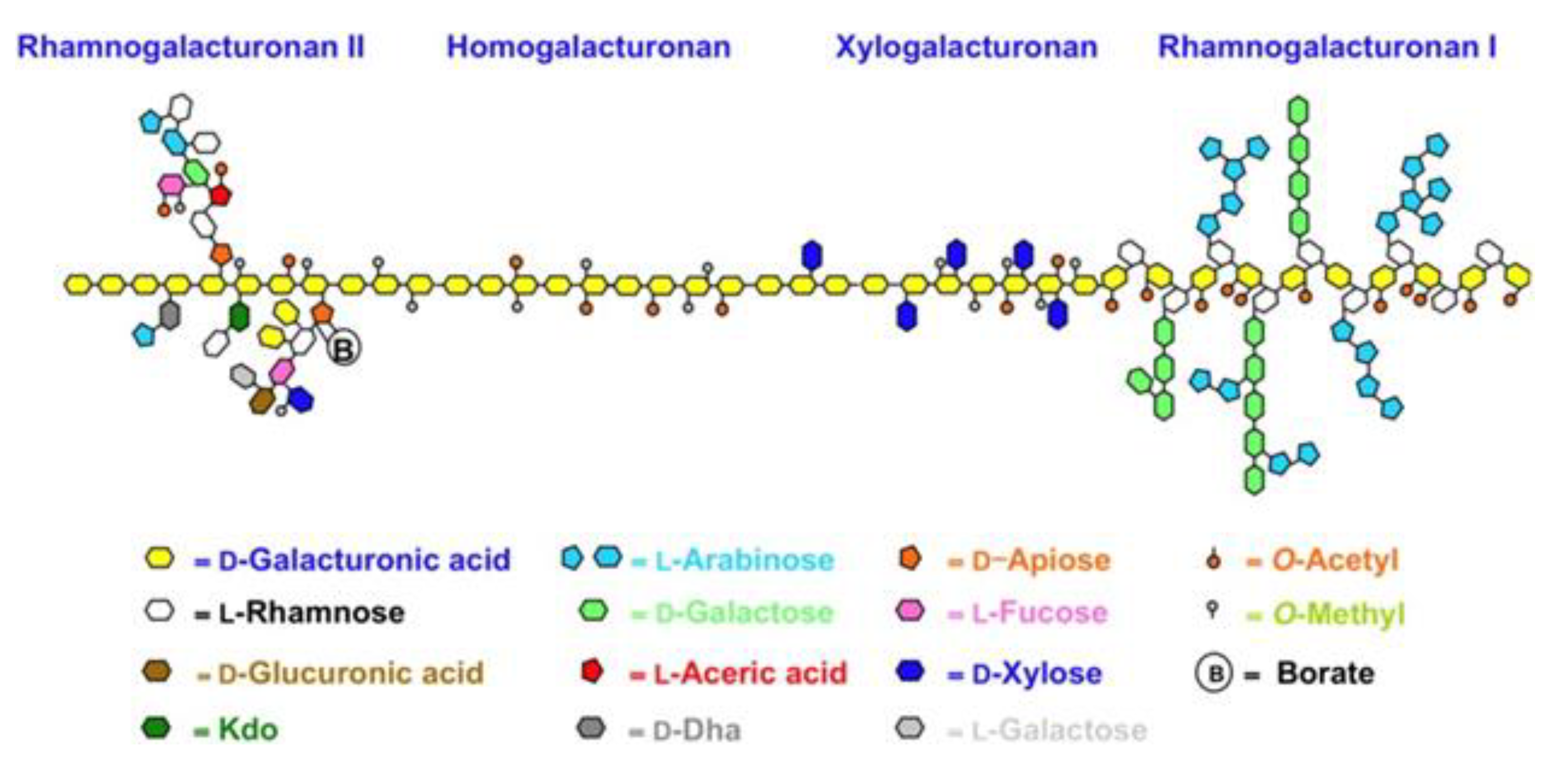 Antioxidants 10 00669 sch001