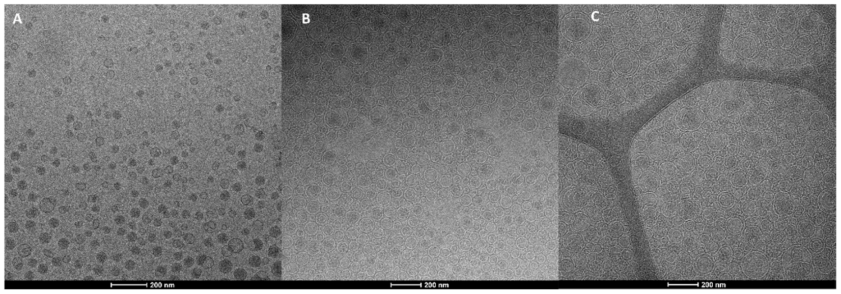 Antioxidants 10 00670 g001 Antioxidants 10 00670 g001
