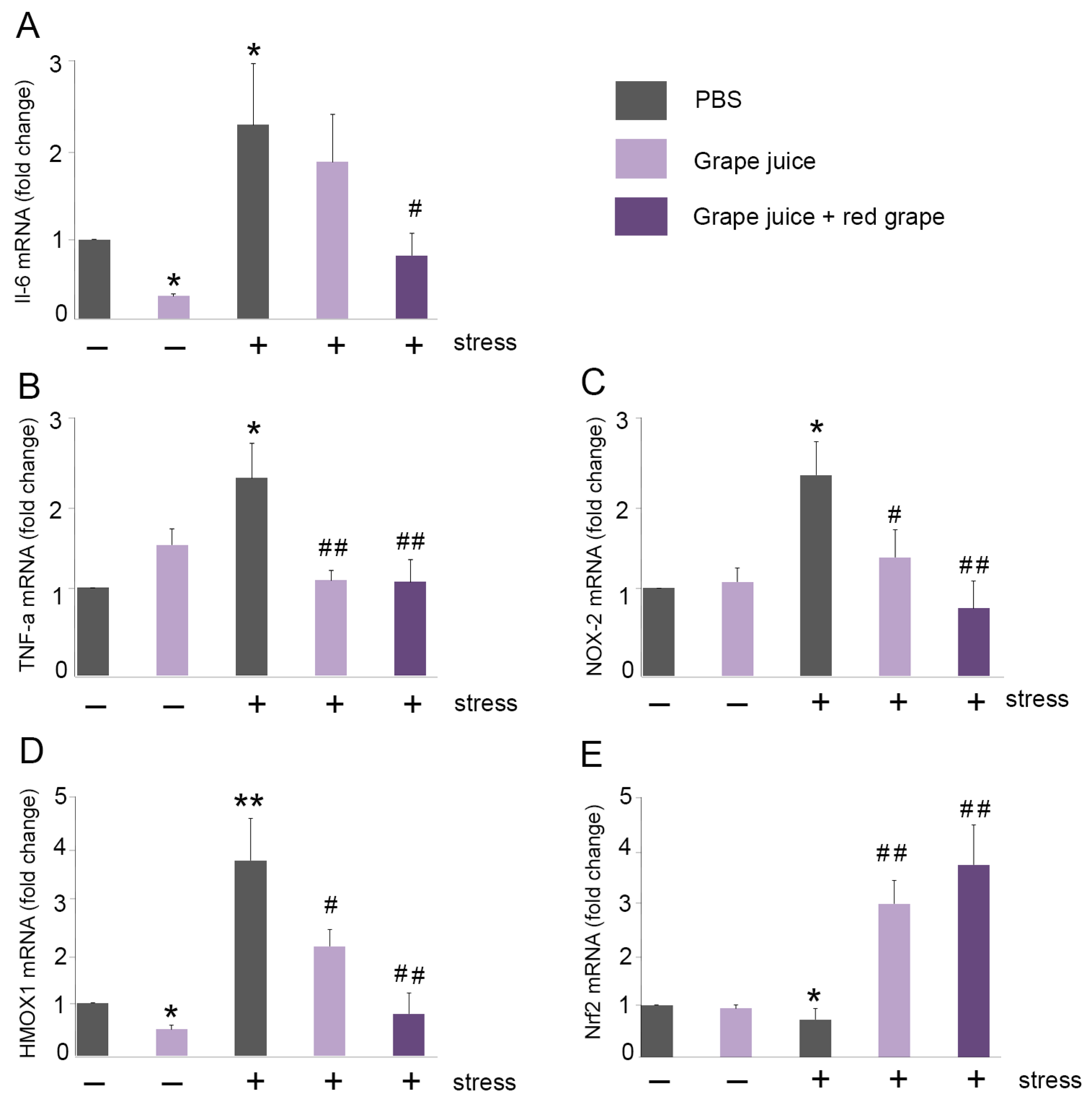 Antioxidants 10 00677 g004