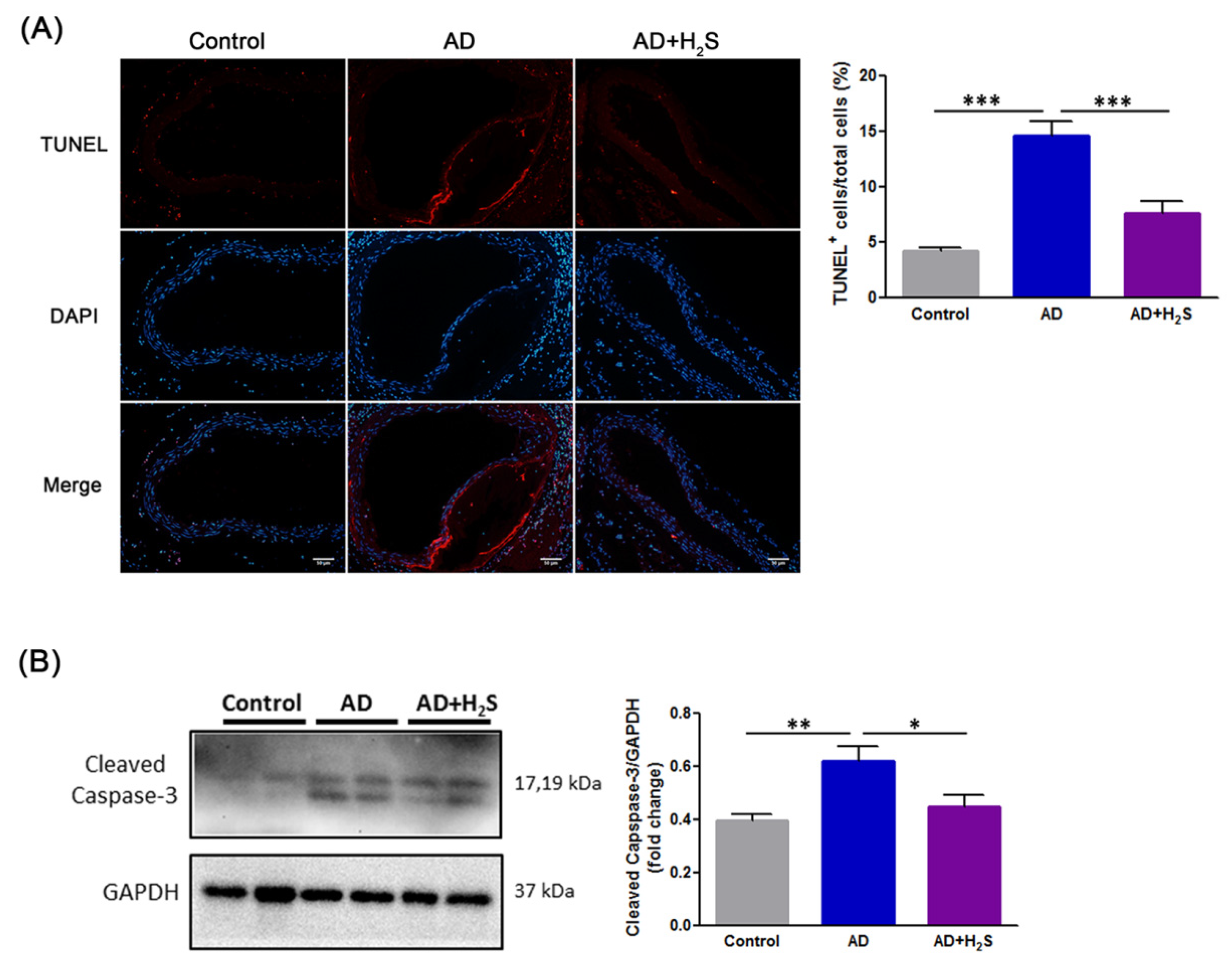 Antioxidants 10 00682 g002