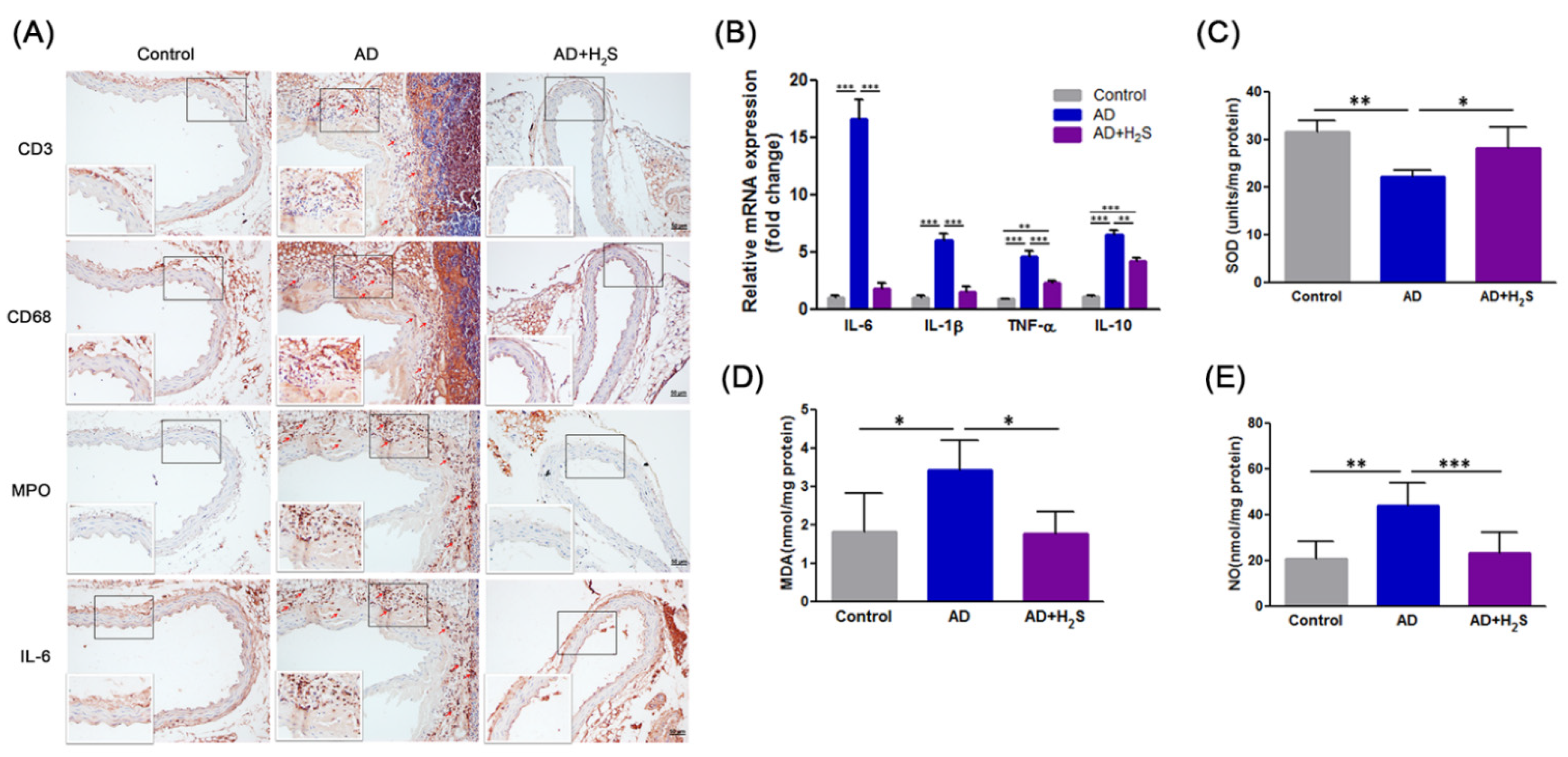 Antioxidants 10 00682 g003