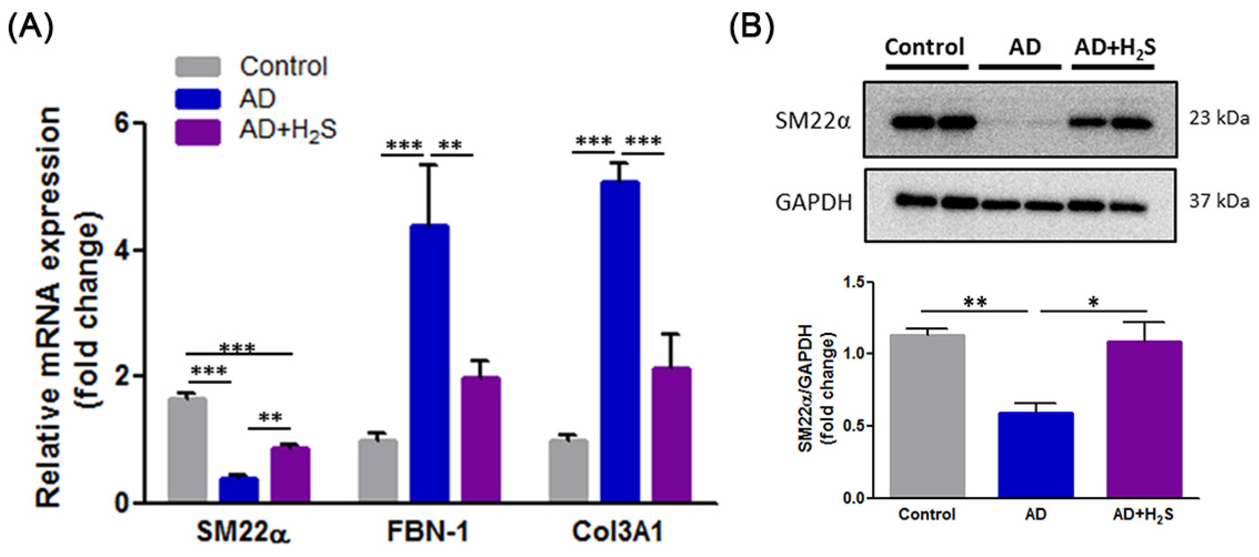 Antioxidants 10 00682 g004