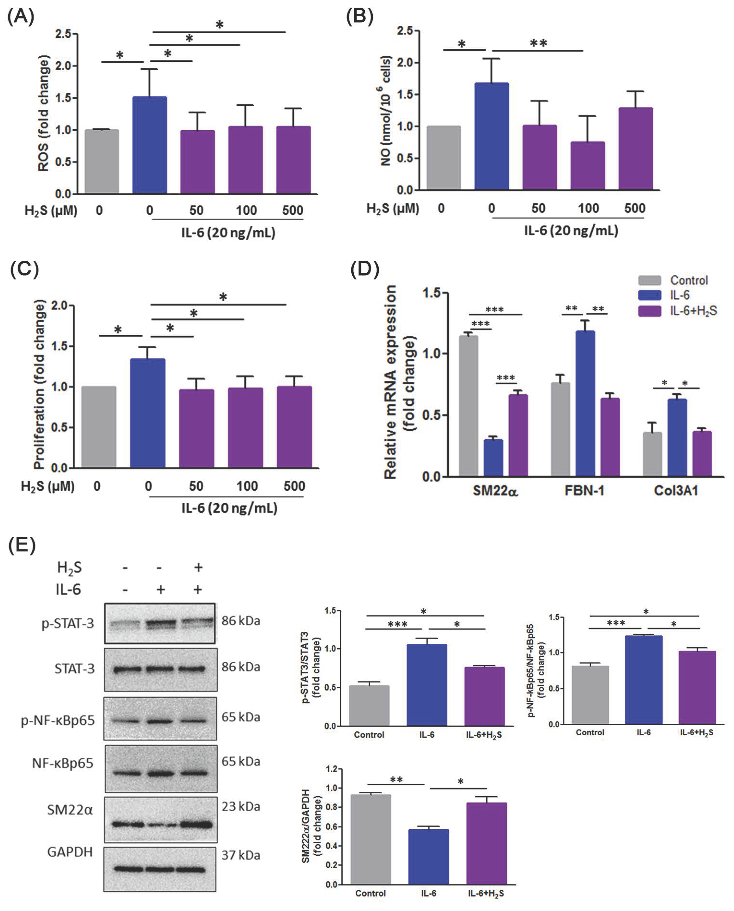 Antioxidants 10 00682 g005