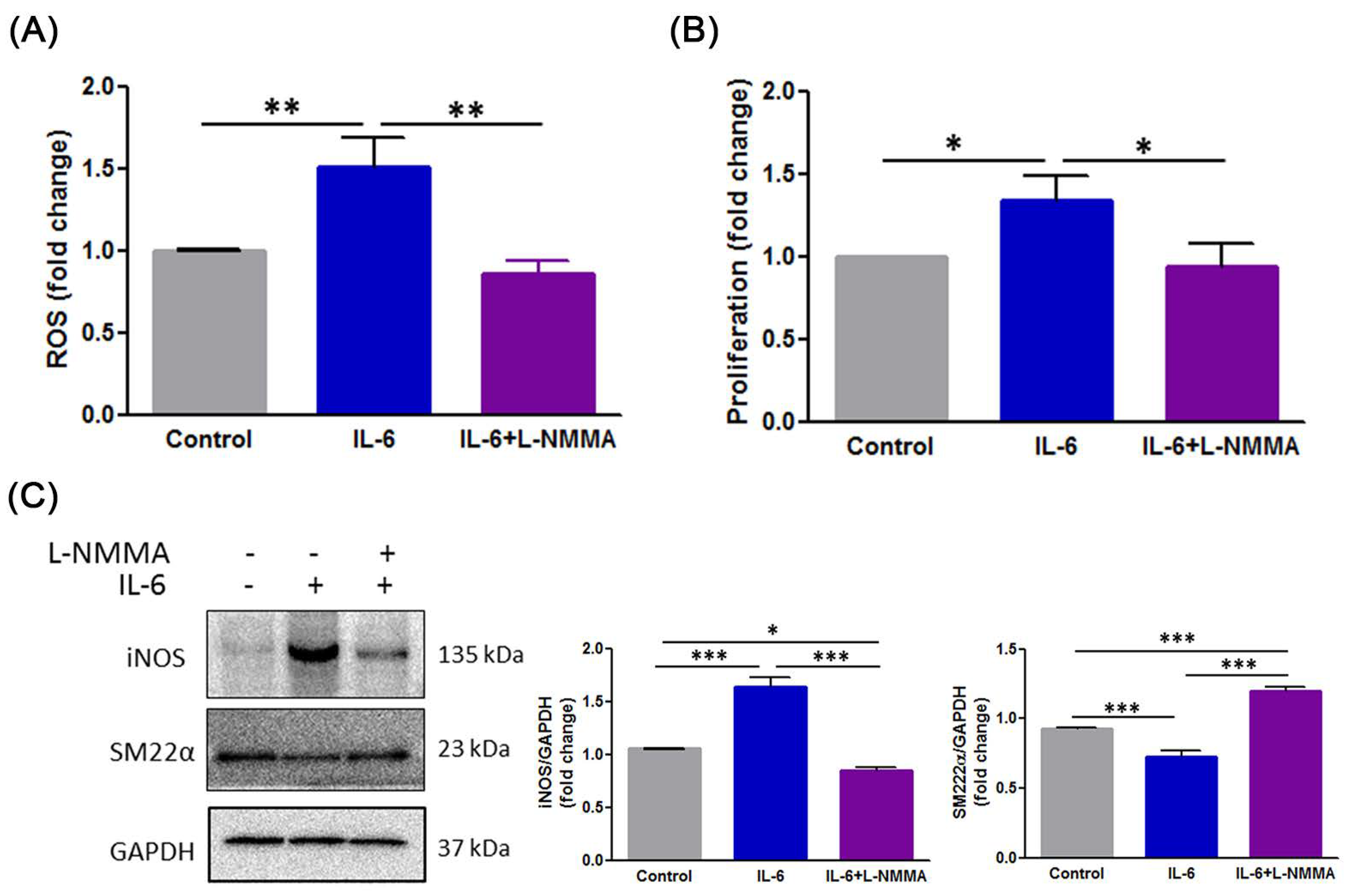 Antioxidants 10 00682 g006