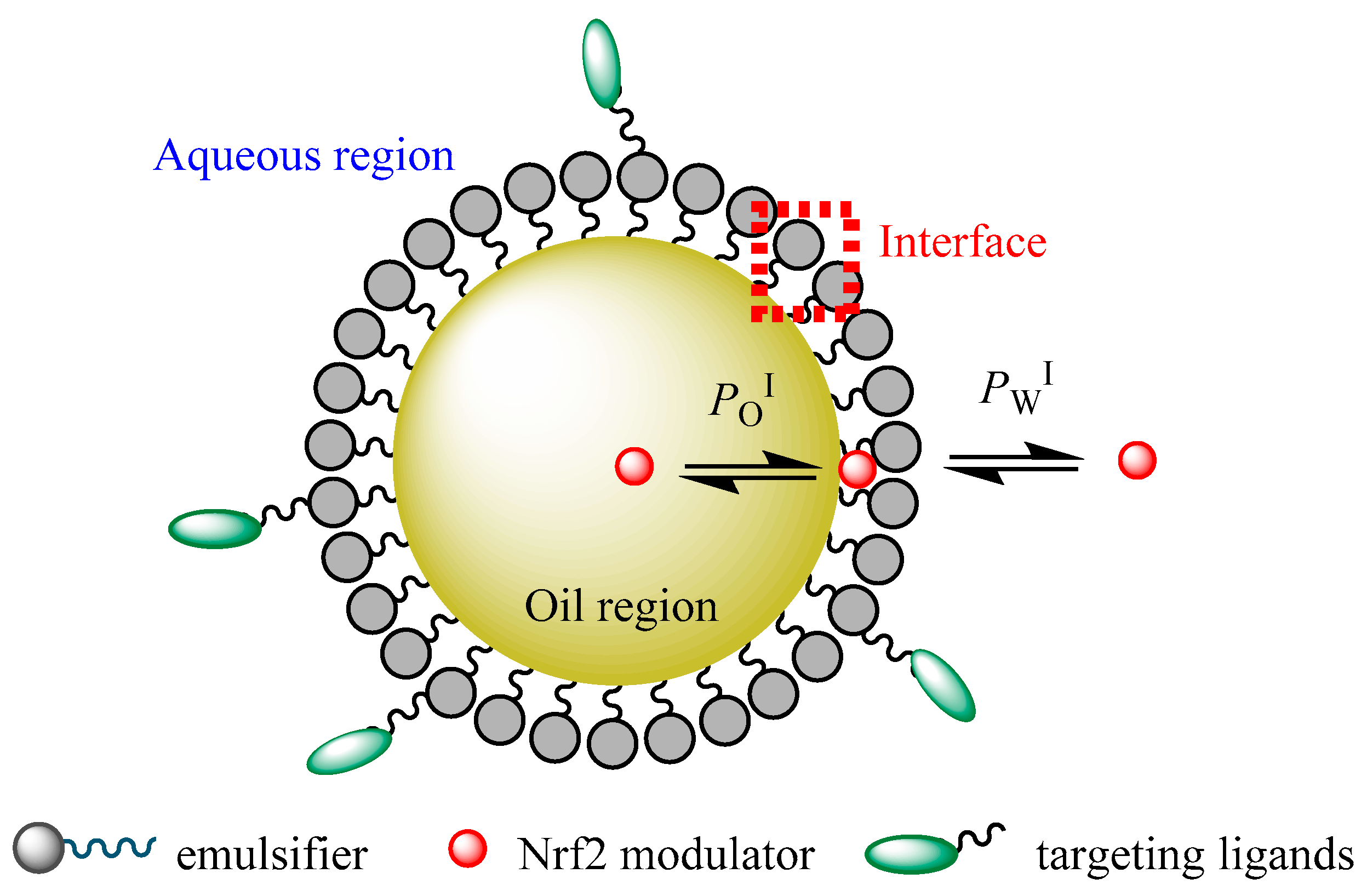 Antioxidants 10 00685 g004
