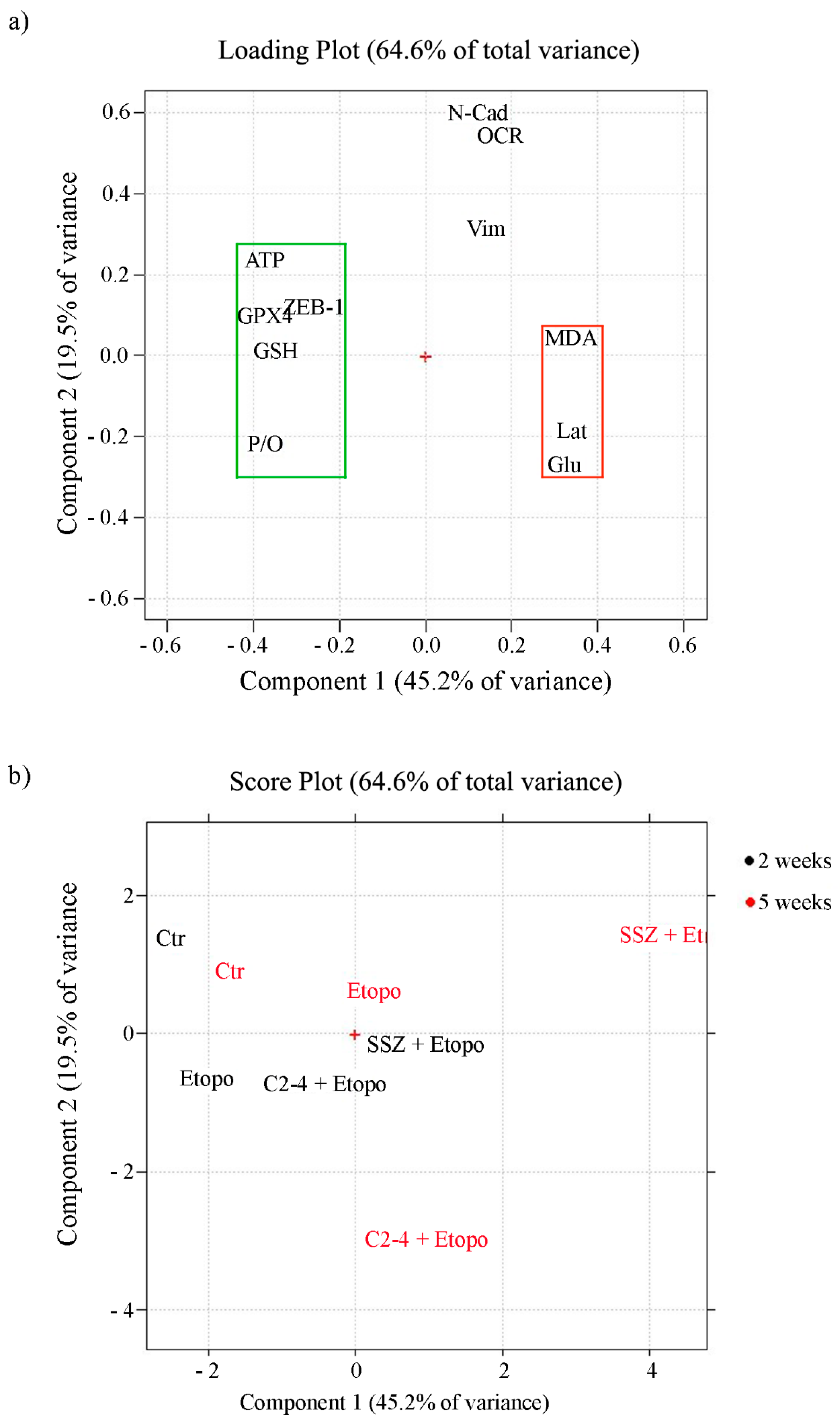 Antioxidants 10 00691 g012