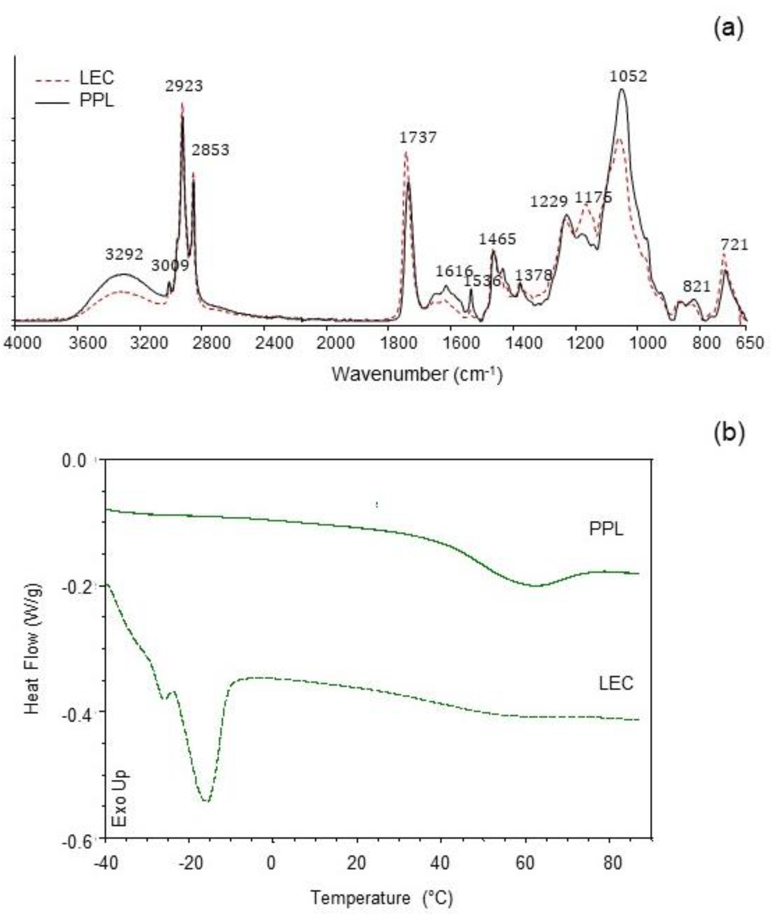 Antioxidants 10 00693 g002