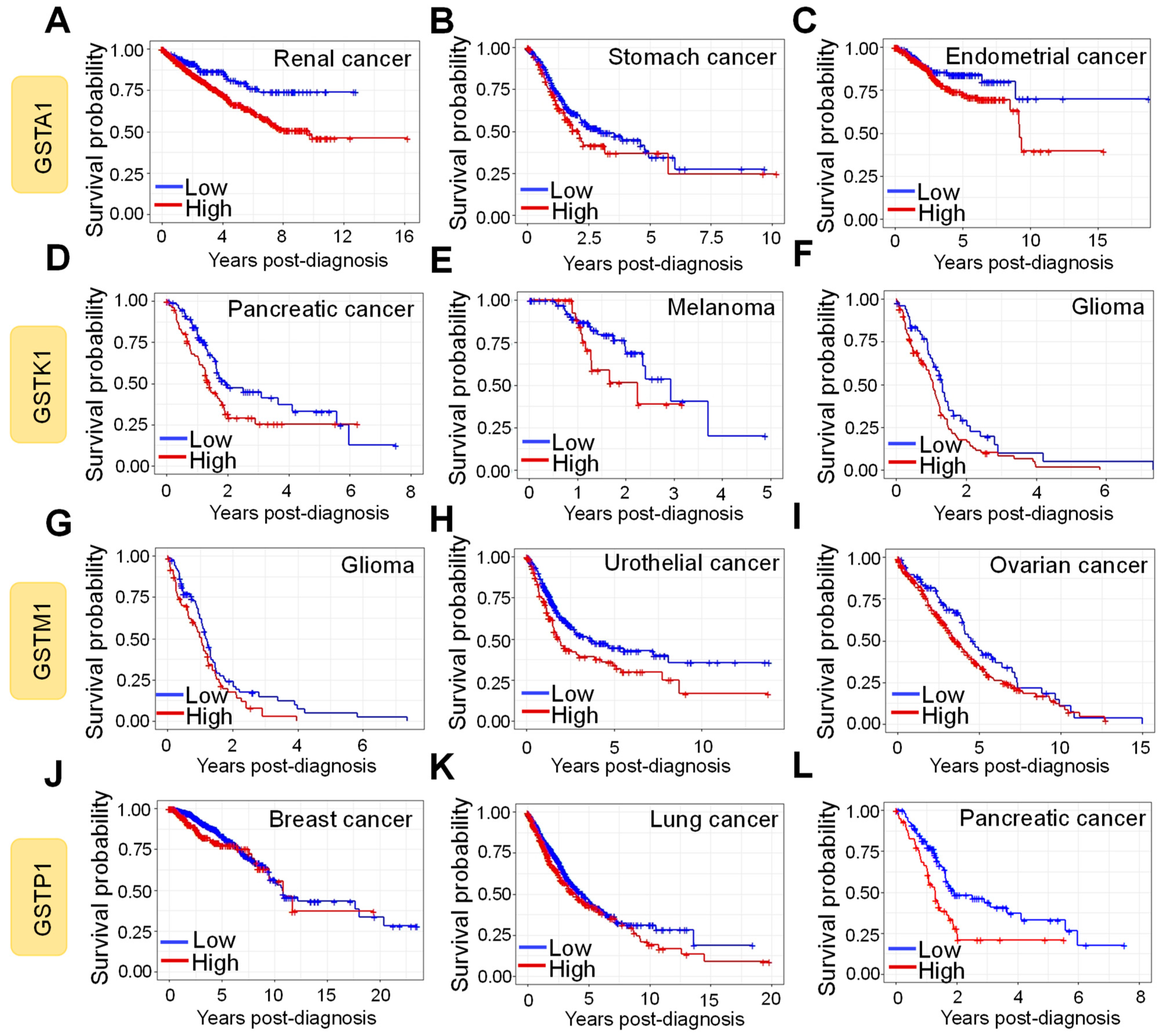 Antioxidants 10 00701 g008 Antioxidants 10 00701 g008