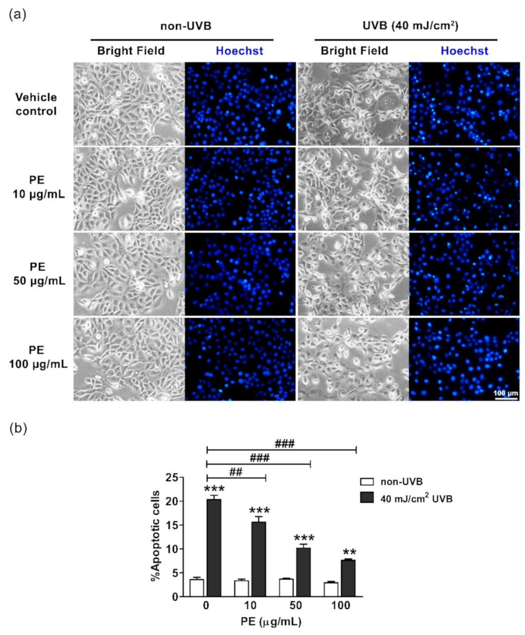 Antioxidants 10 00703 g003