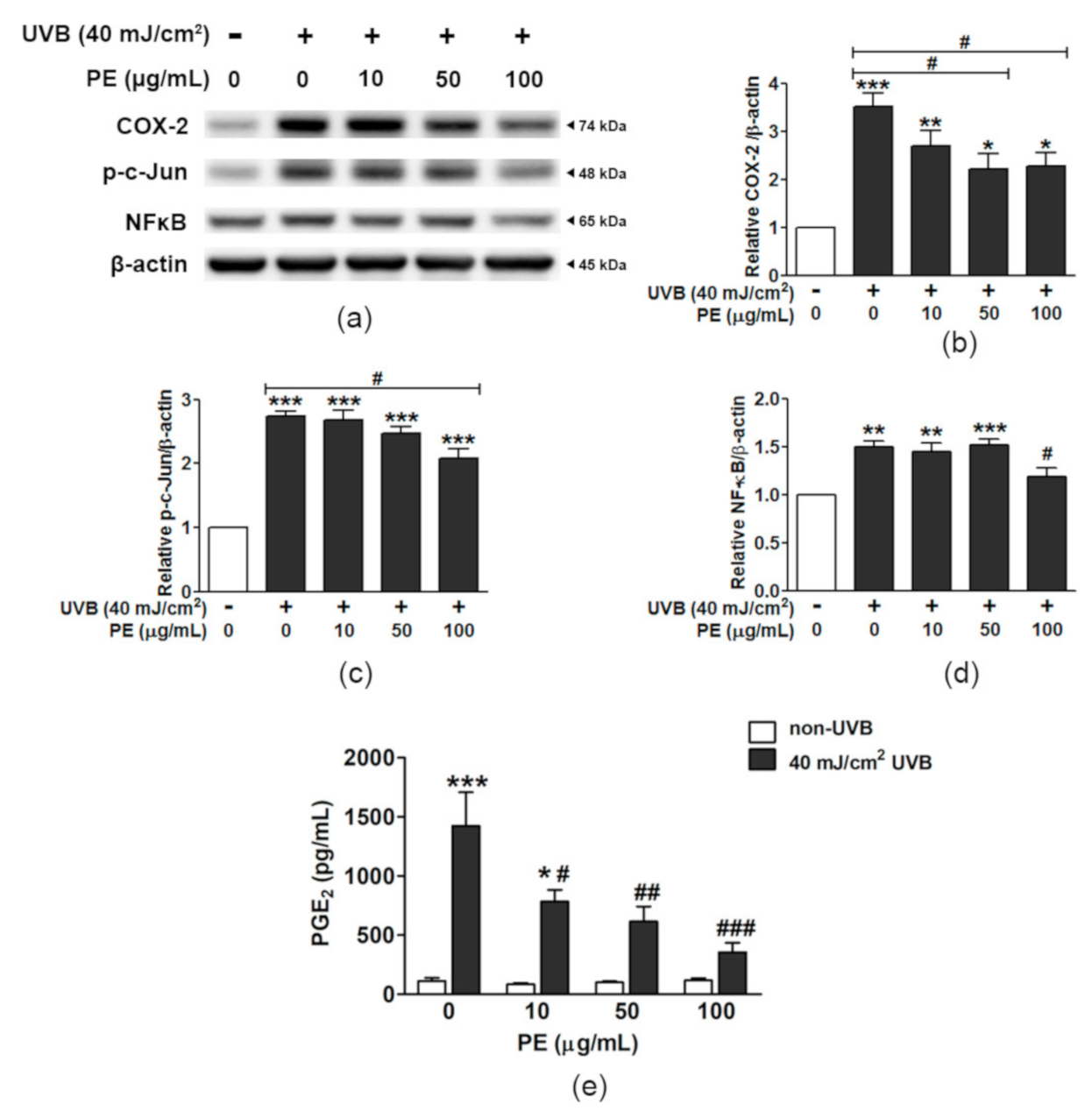 Antioxidants 10 00703 g005