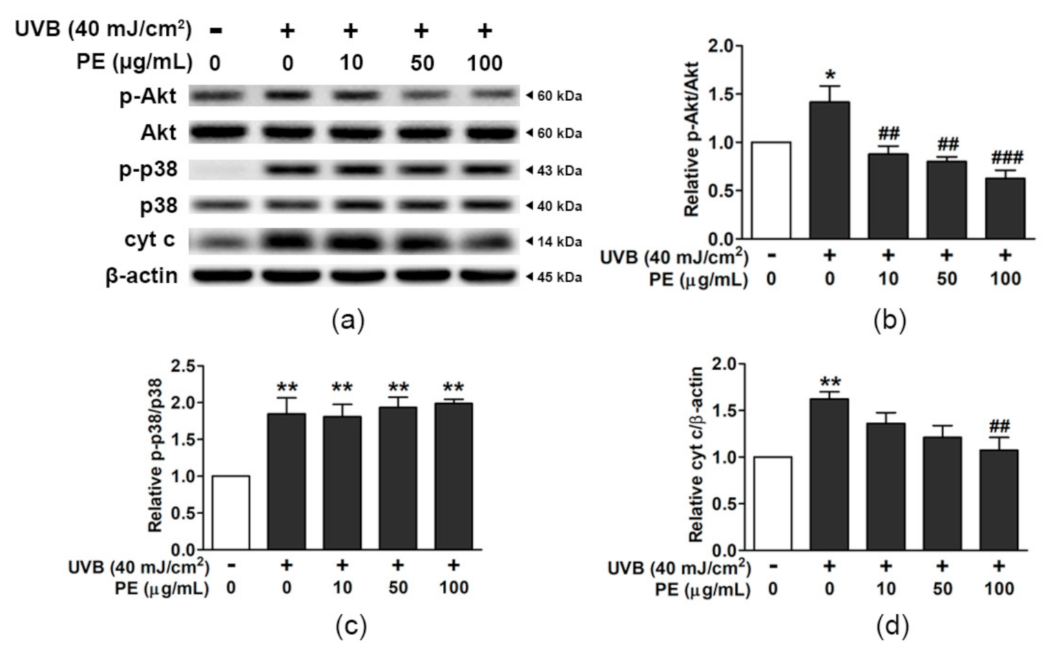Antioxidants 10 00703 g006